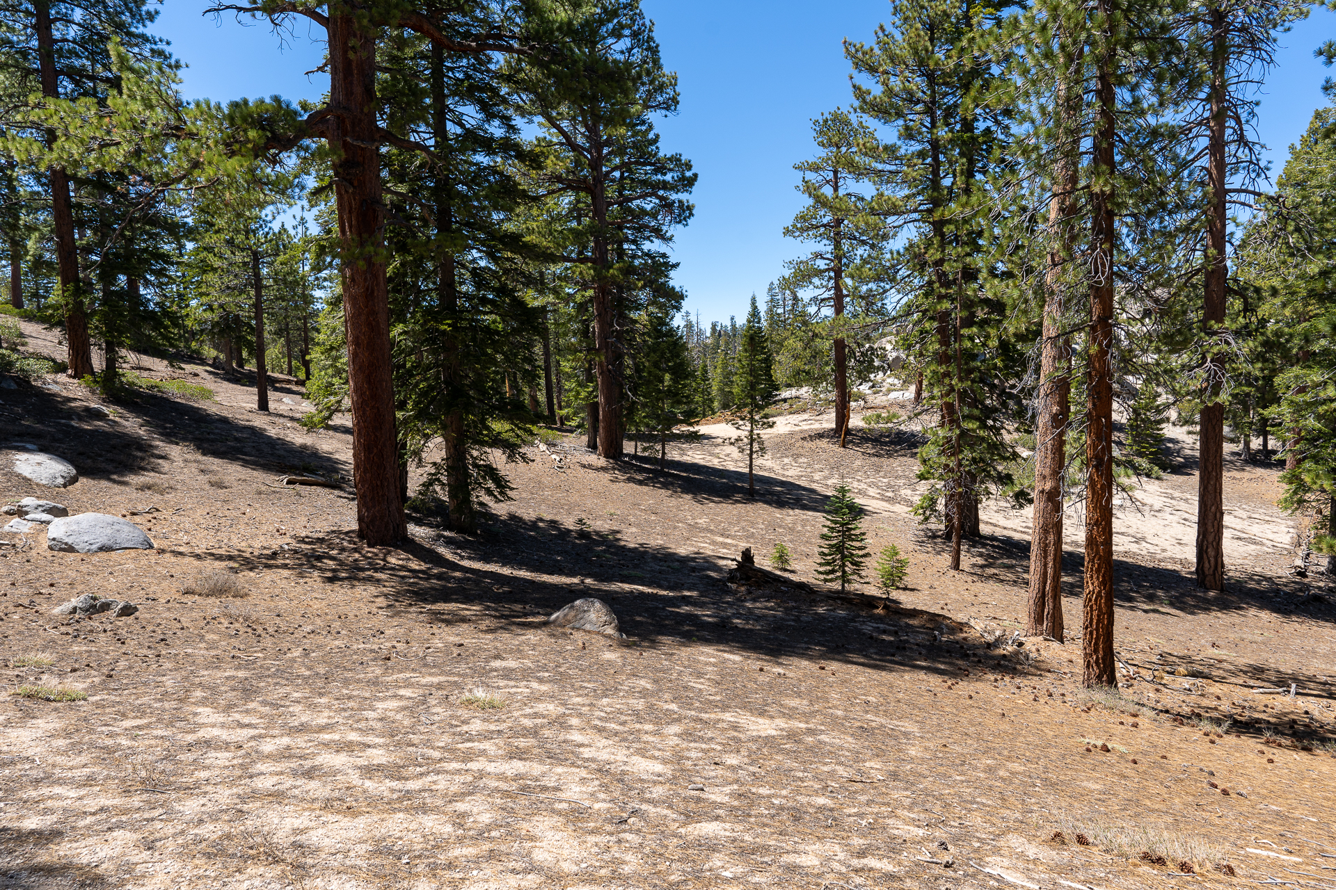 Trip report photo for Rockhouse Peak and Taylor Dome