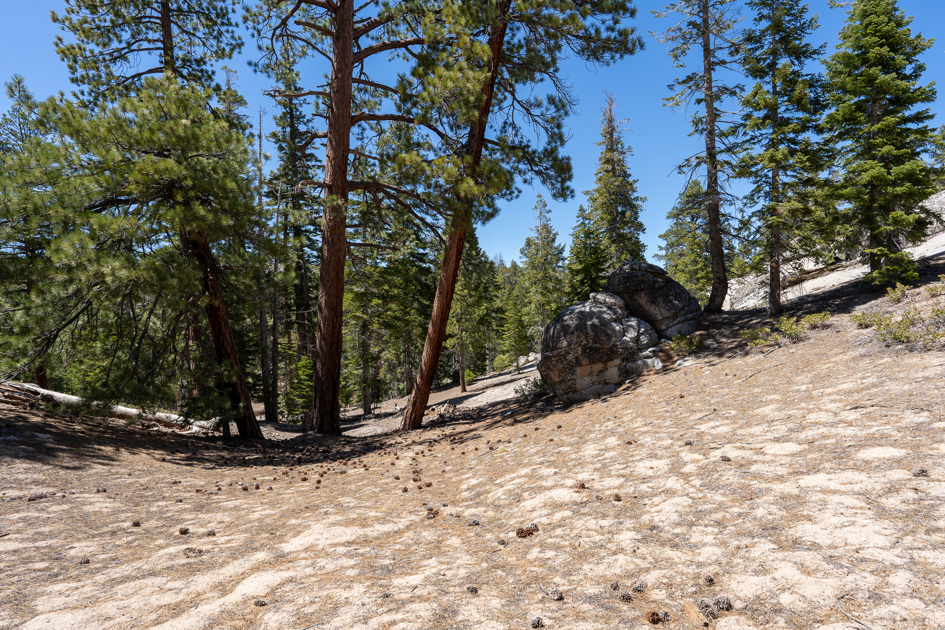 Trip report photo for Rockhouse Peak and Taylor Dome