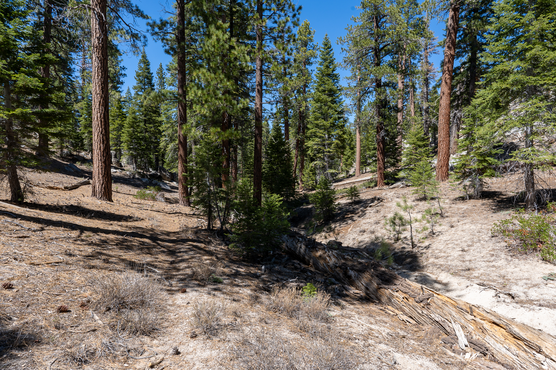 Trip report photo for Rockhouse Peak and Taylor Dome