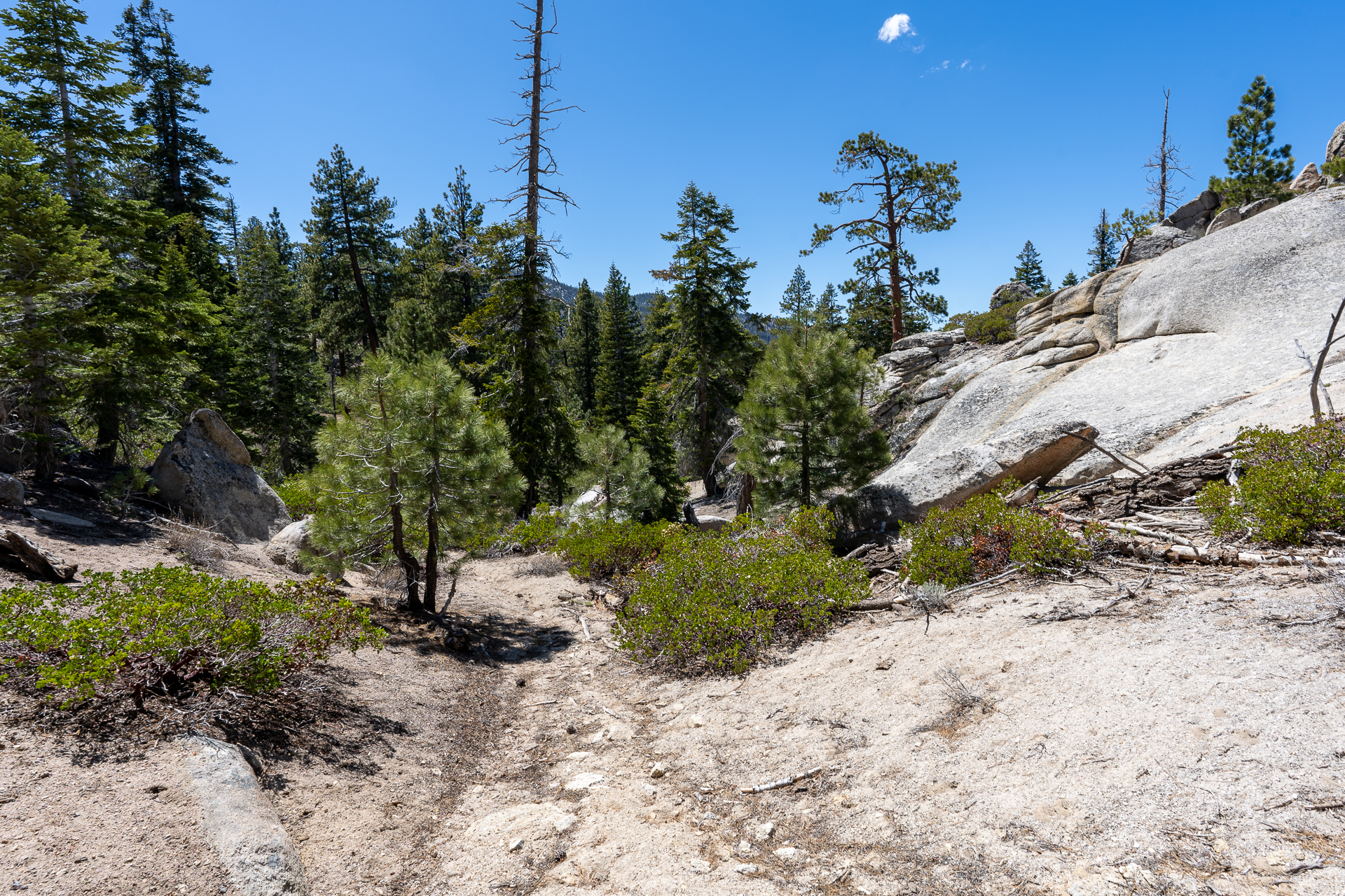 Trip report photo for Rockhouse Peak and Taylor Dome