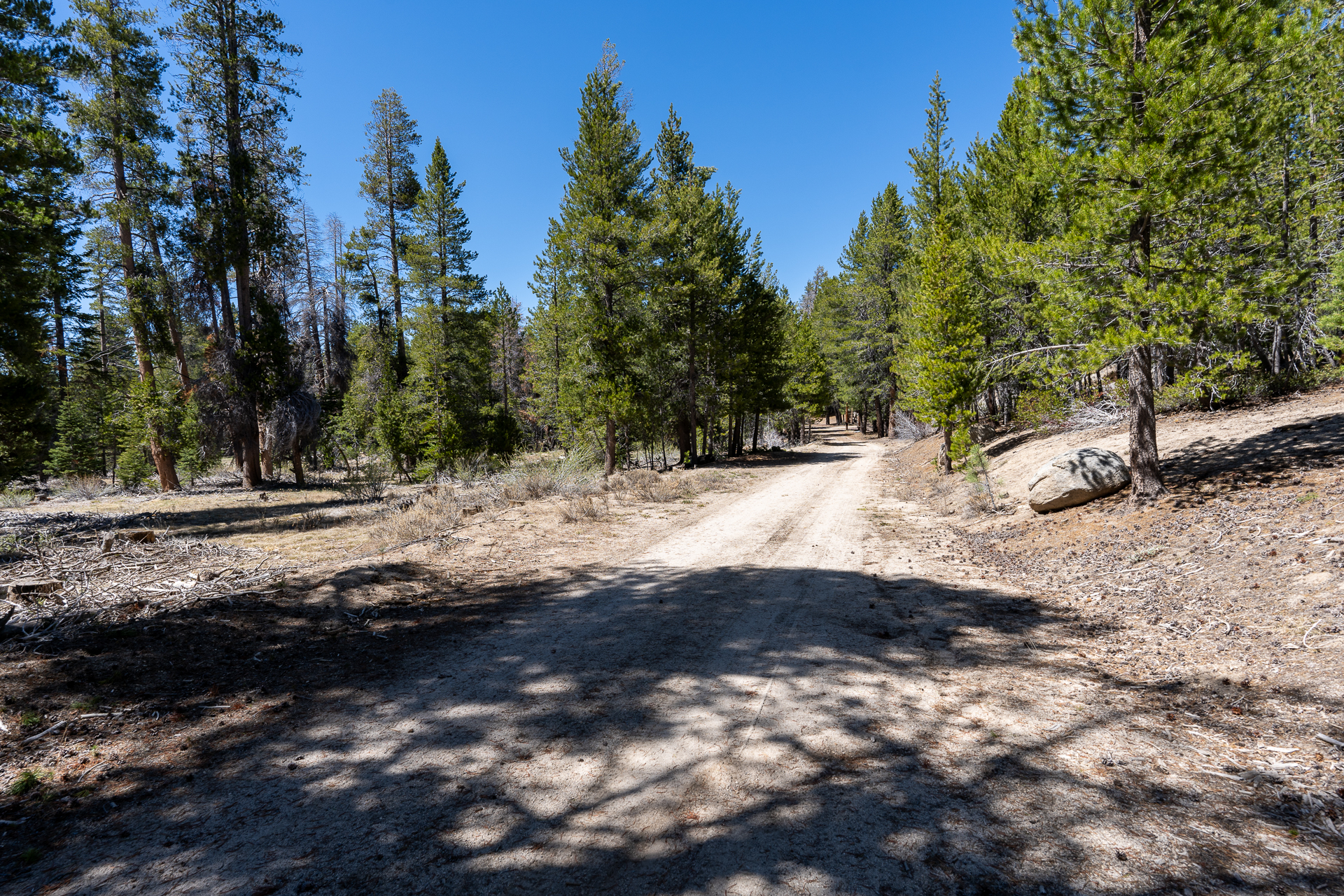 Trip report photo for Rockhouse Peak and Taylor Dome