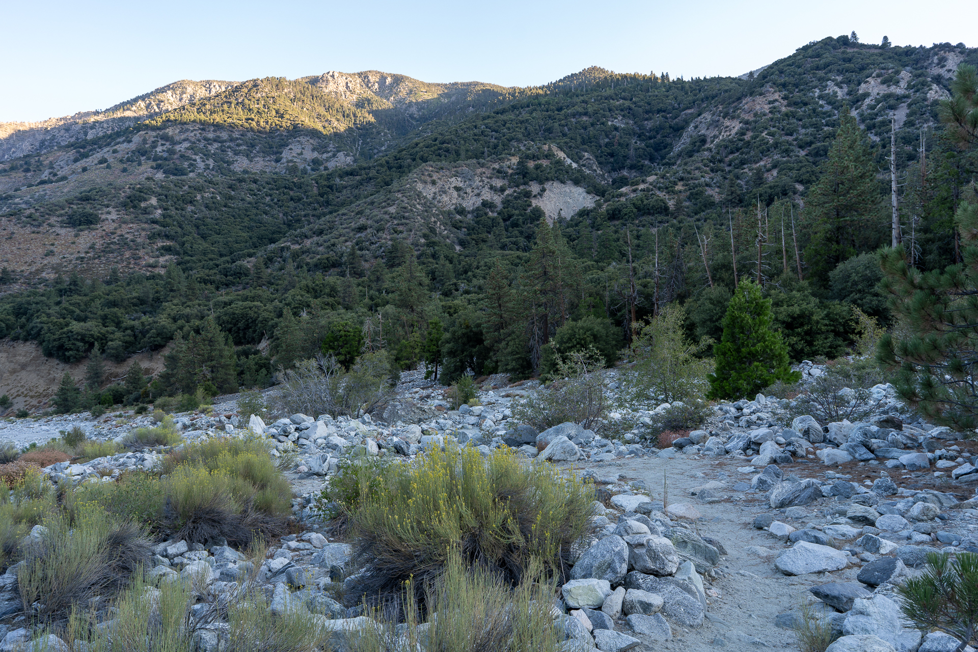 San Bernardino East Peak via Momyer Creek Trail