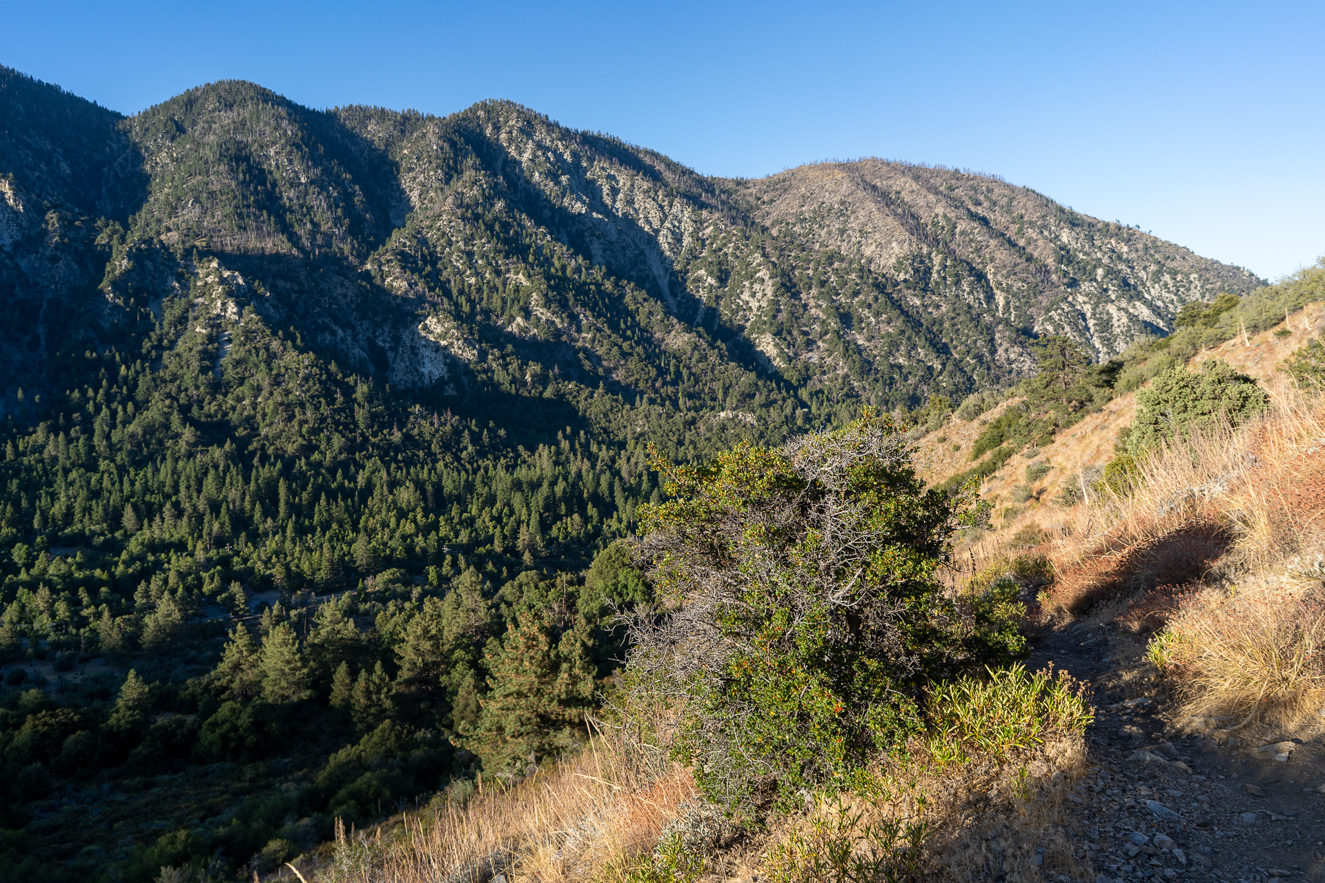 San Bernardino East Peak via Momyer Creek Trail