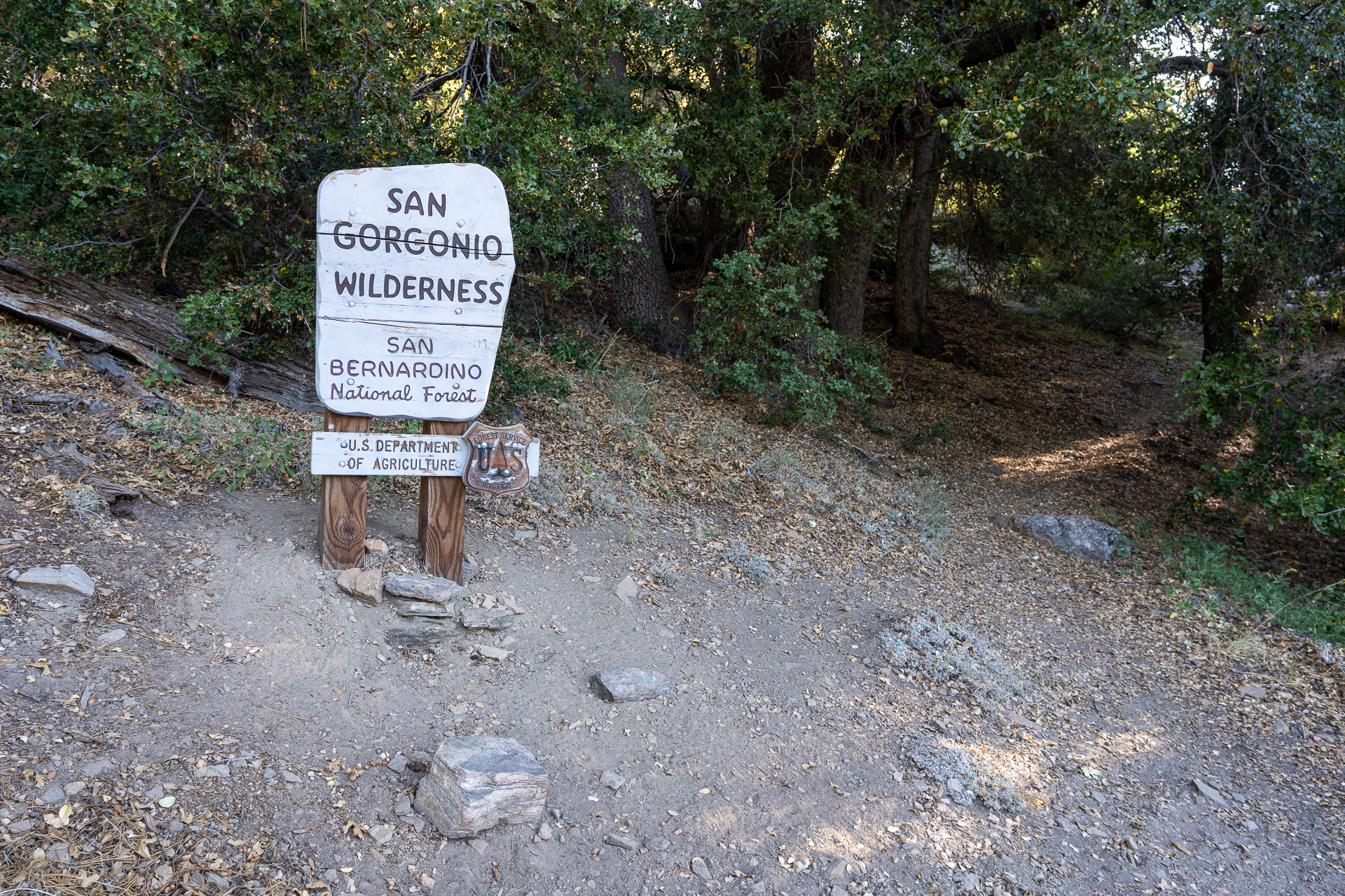 San Bernardino East Peak via Momyer Creek Trail
