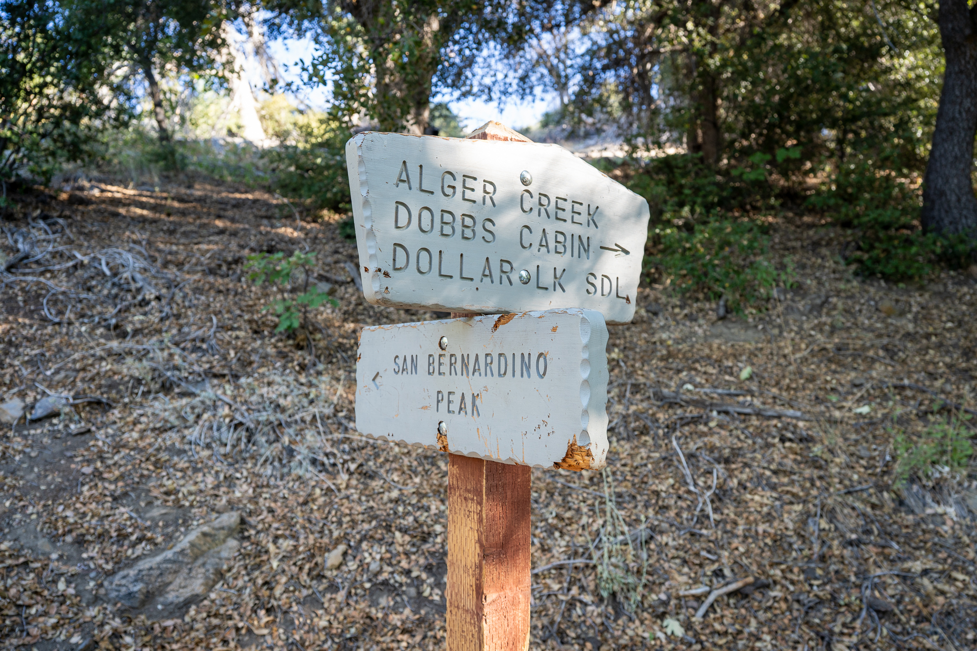 San Bernardino East Peak via Momyer Creek Trail