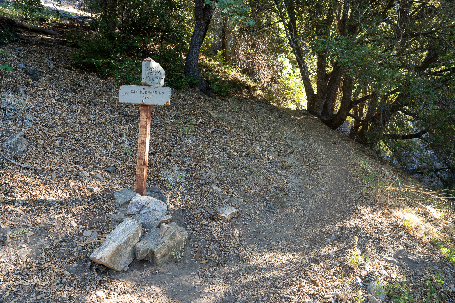 San Bernardino East Peak via Momyer Creek Trail