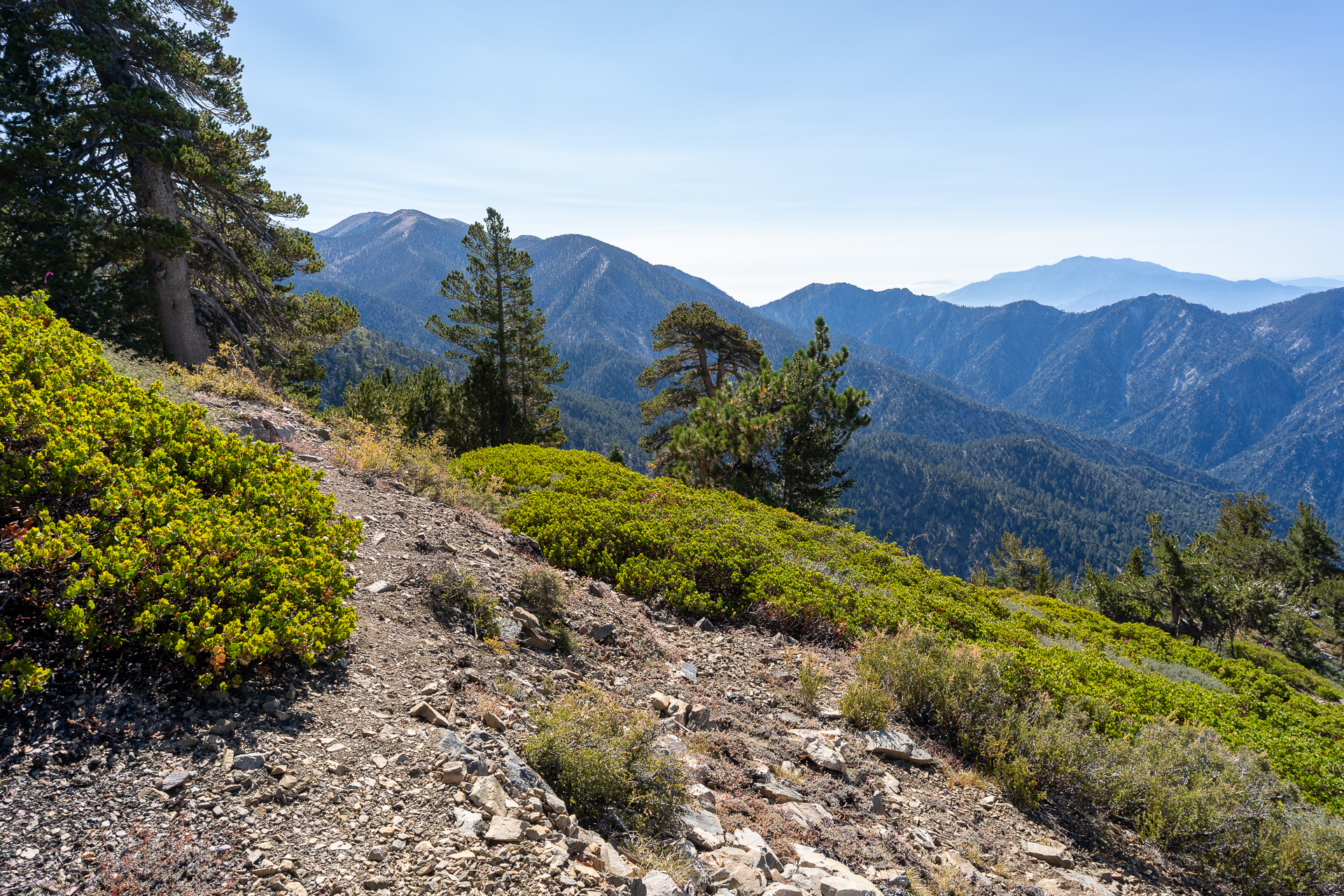 San Bernardino East Peak via Momyer Creek Trail