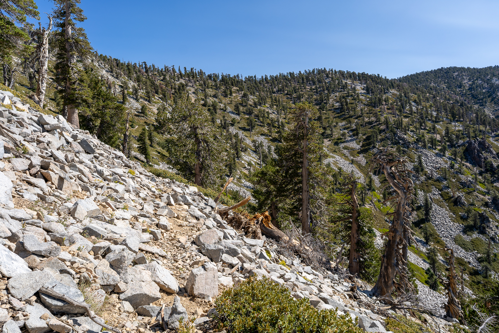 San Bernardino East Peak via Momyer Creek Trail