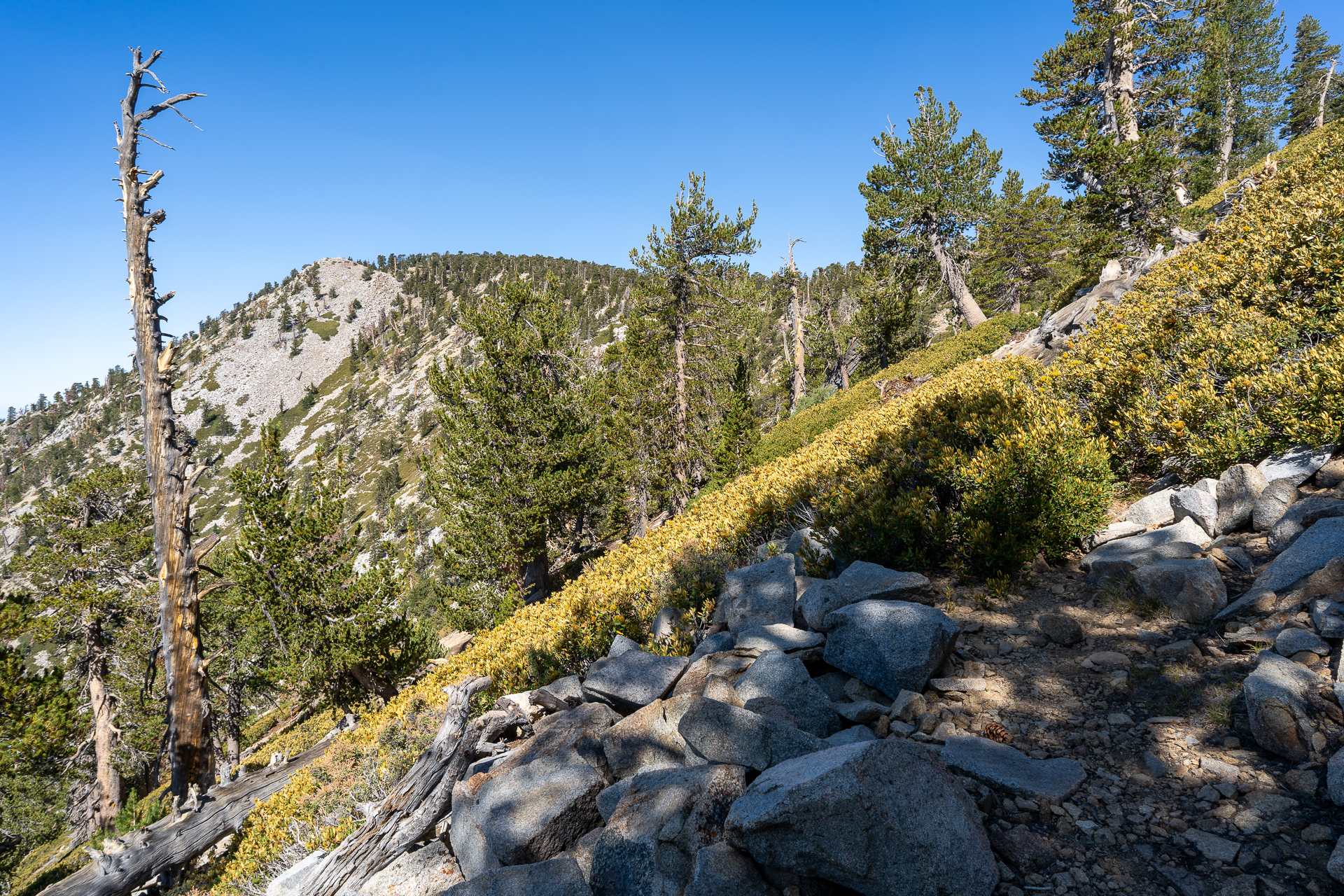 San Bernardino East Peak via Momyer Creek Trail