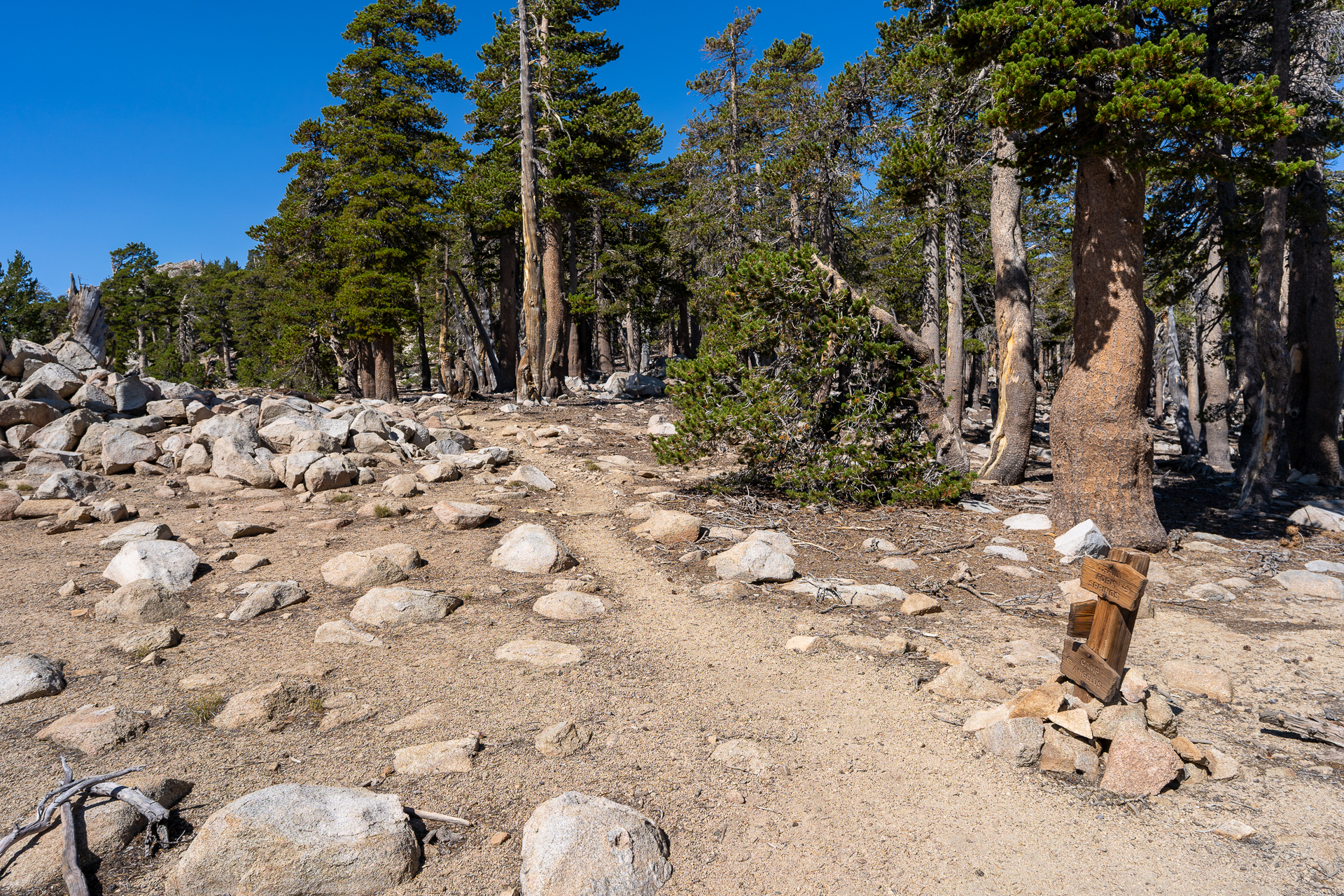 San Bernardino East Peak via Momyer Creek Trail