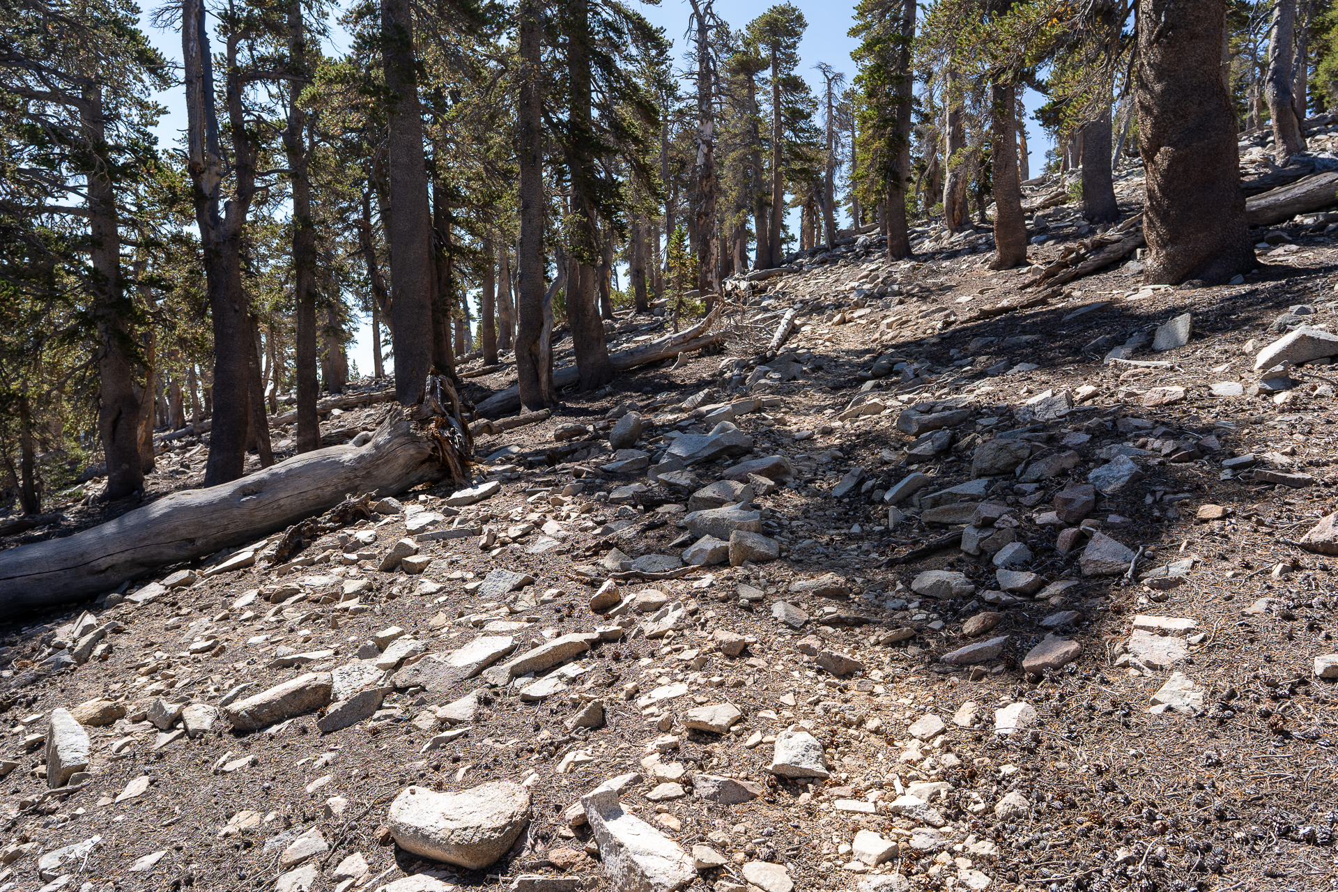 San Bernardino East Peak via Momyer Creek Trail