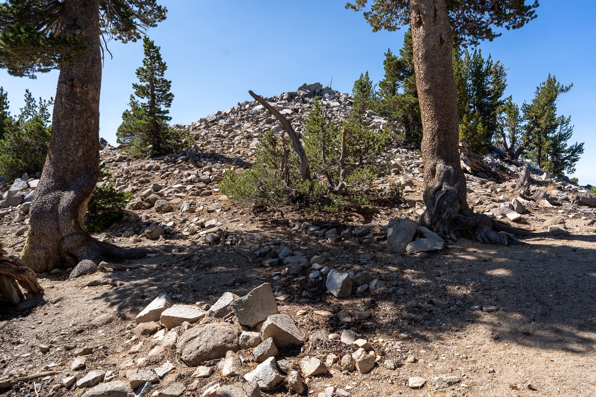 San Bernardino East Peak via Momyer Creek Trail