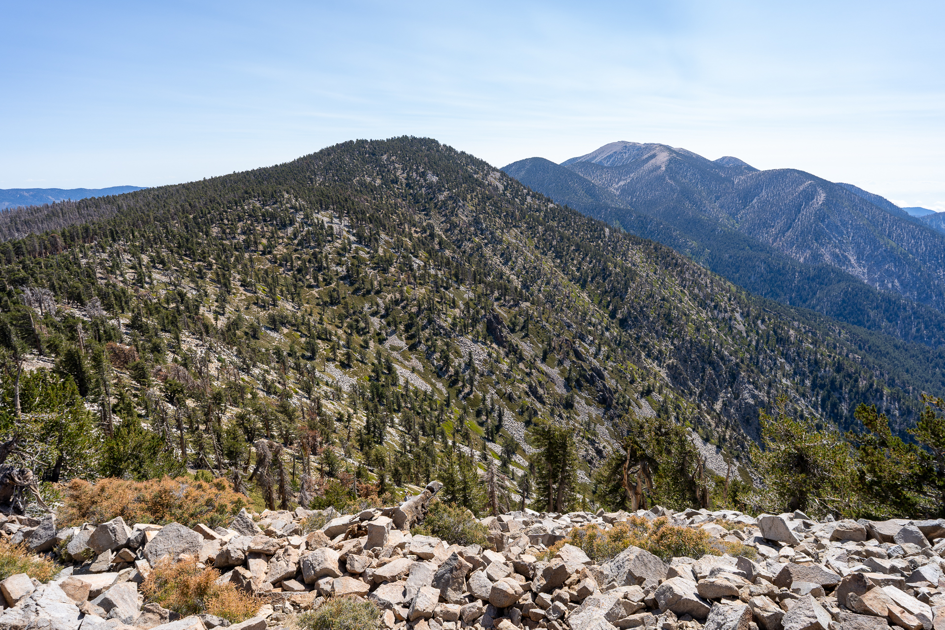 San Bernardino East Peak via Momyer Creek Trail