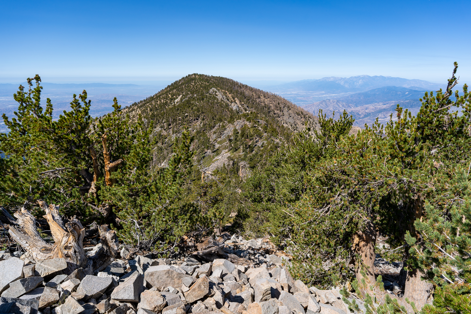 San Bernardino East Peak via Momyer Creek Trail