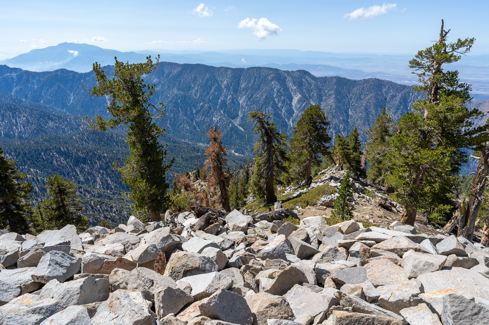 San Bernardino East Peak via Momyer Creek Trail