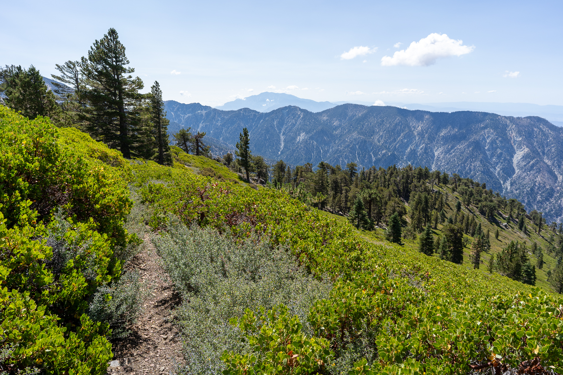 San Bernardino East Peak via Momyer Creek Trail