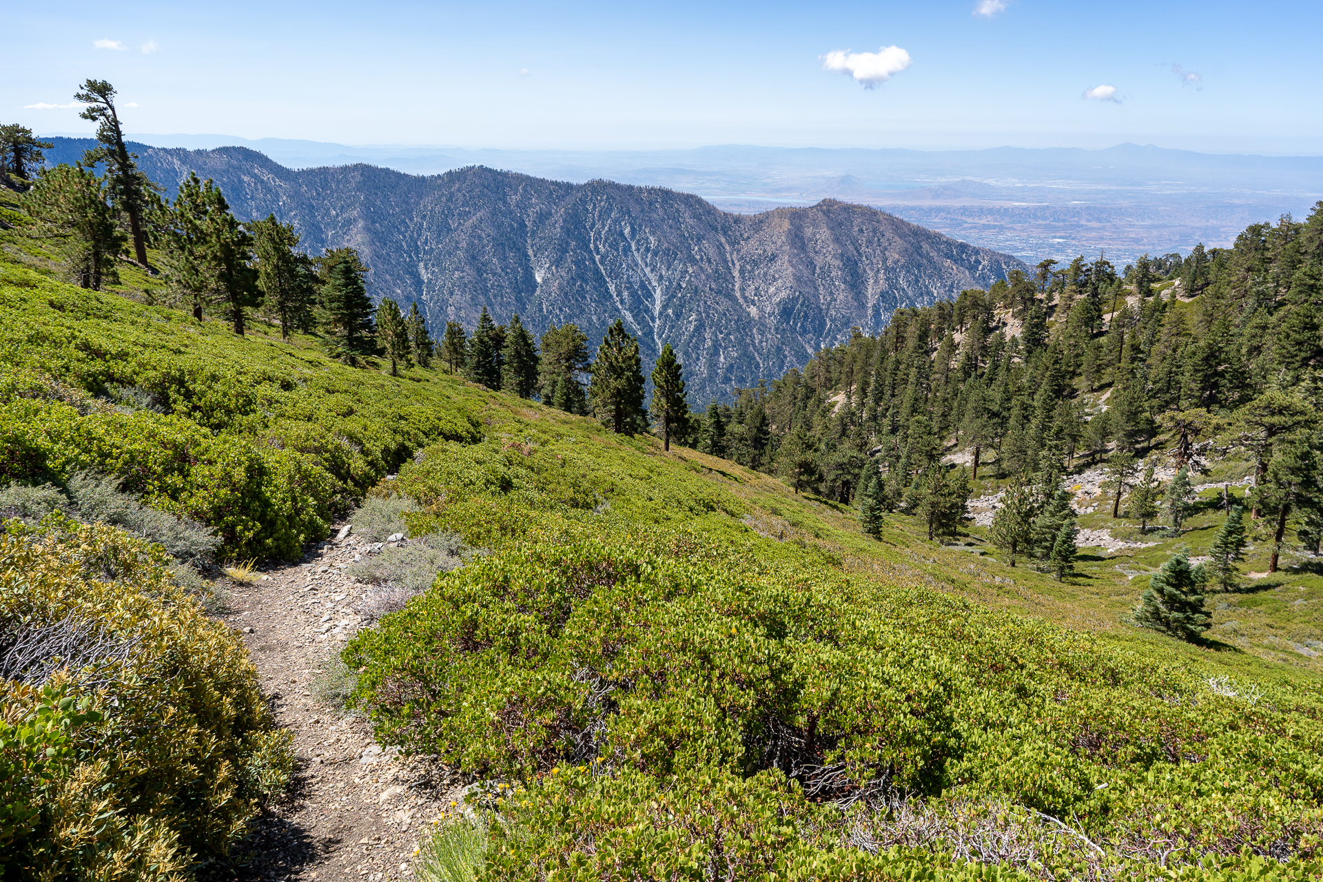 San Bernardino East Peak via Momyer Creek Trail