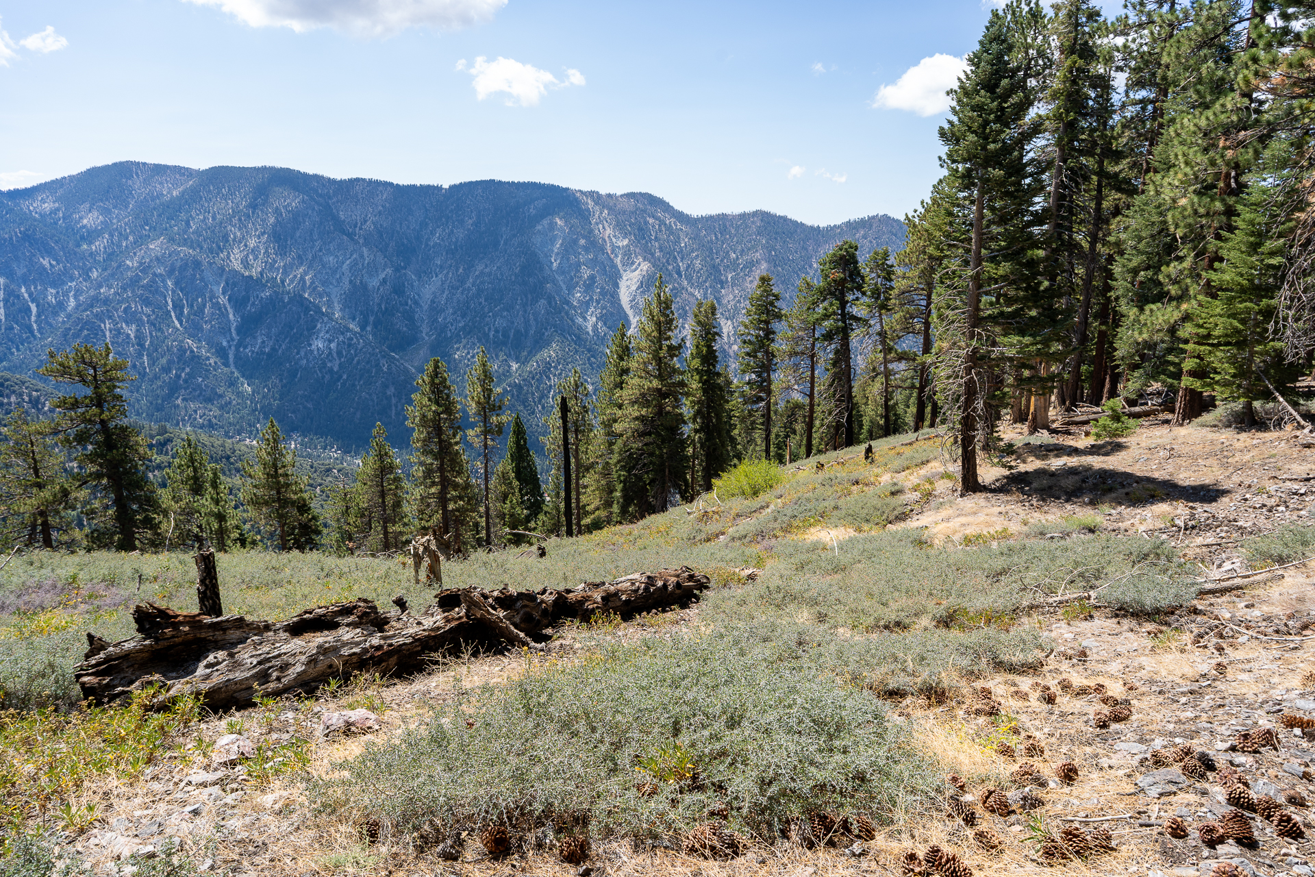 San Bernardino East Peak via Momyer Creek Trail