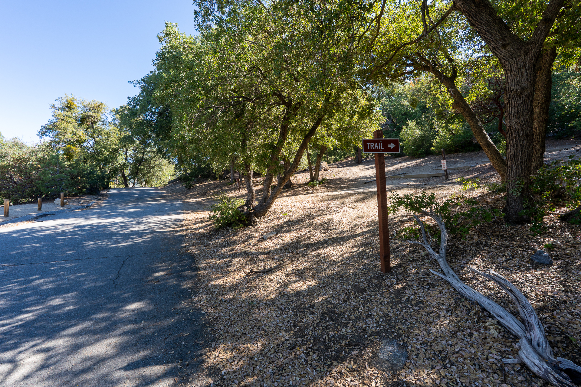 San Jacinto Mountains 10,000-foot Peaks Loop