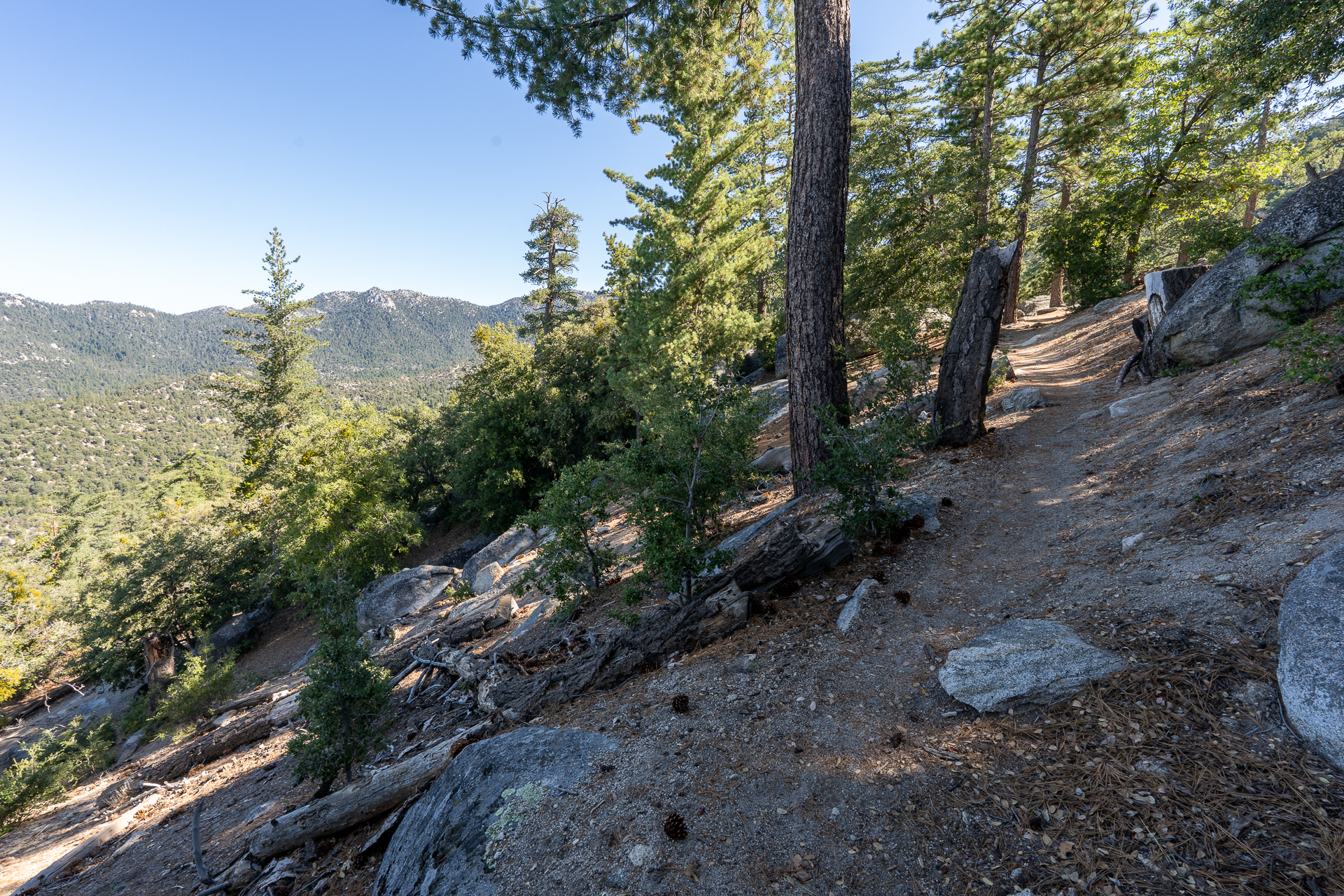San Jacinto Mountains 10,000-foot Peaks Loop