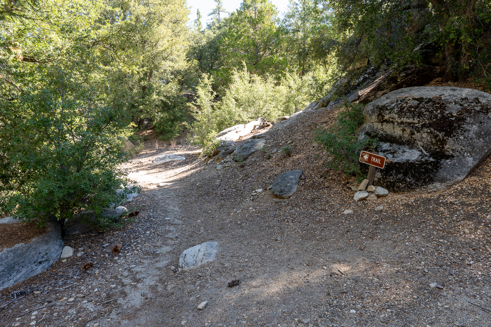 San Jacinto Mountains 10,000-foot Peaks Loop