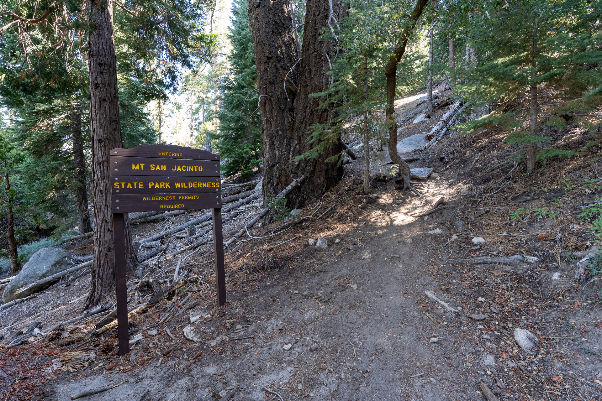 San Jacinto Mountains 10,000-foot Peaks Loop