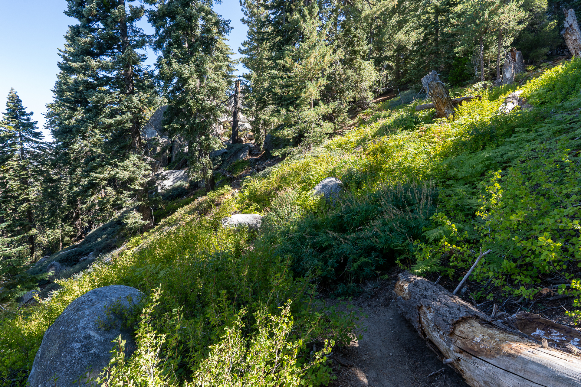 San Jacinto Mountains 10,000-foot Peaks Loop
