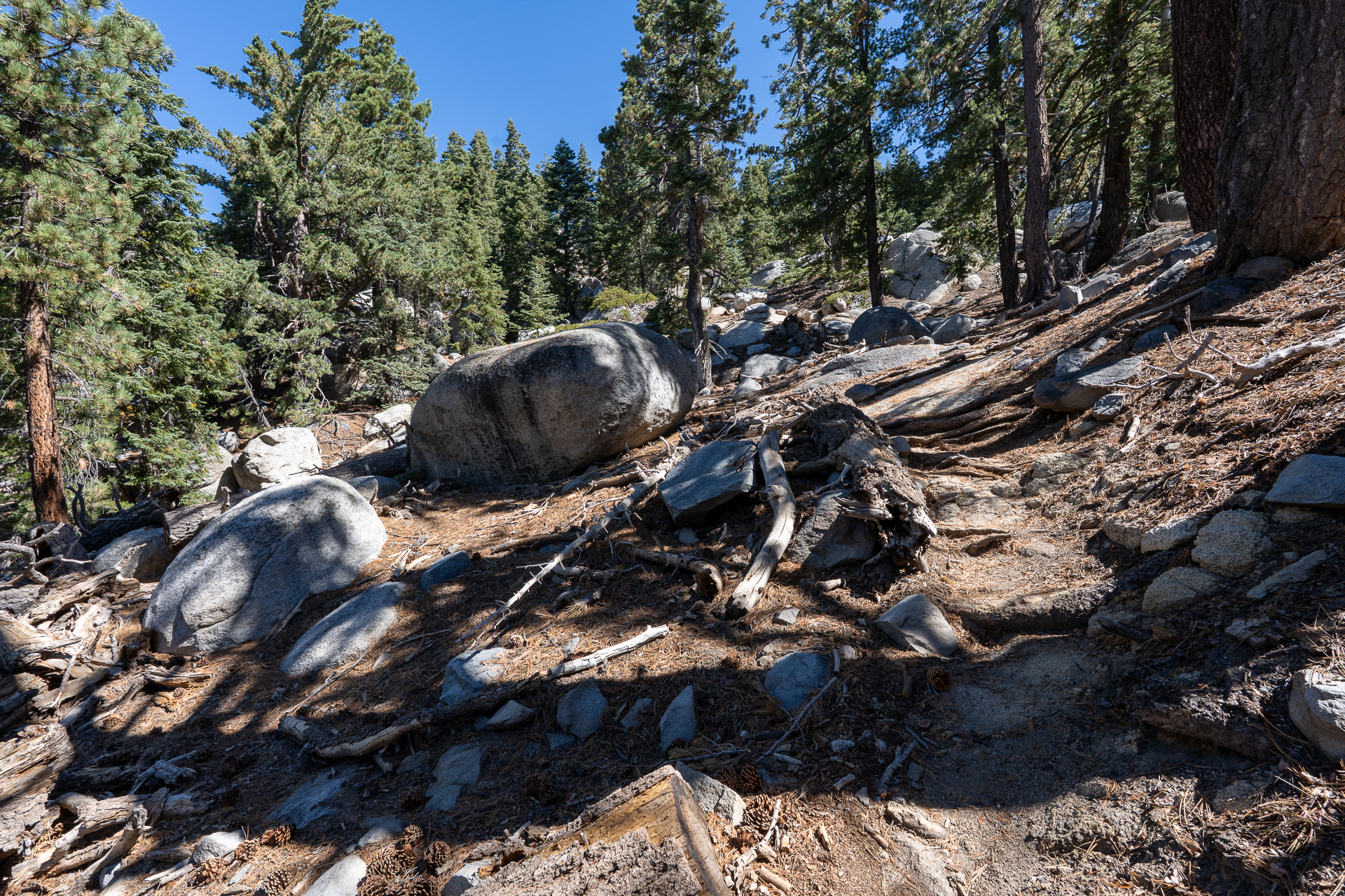 San Jacinto Mountains 10,000-foot Peaks Loop