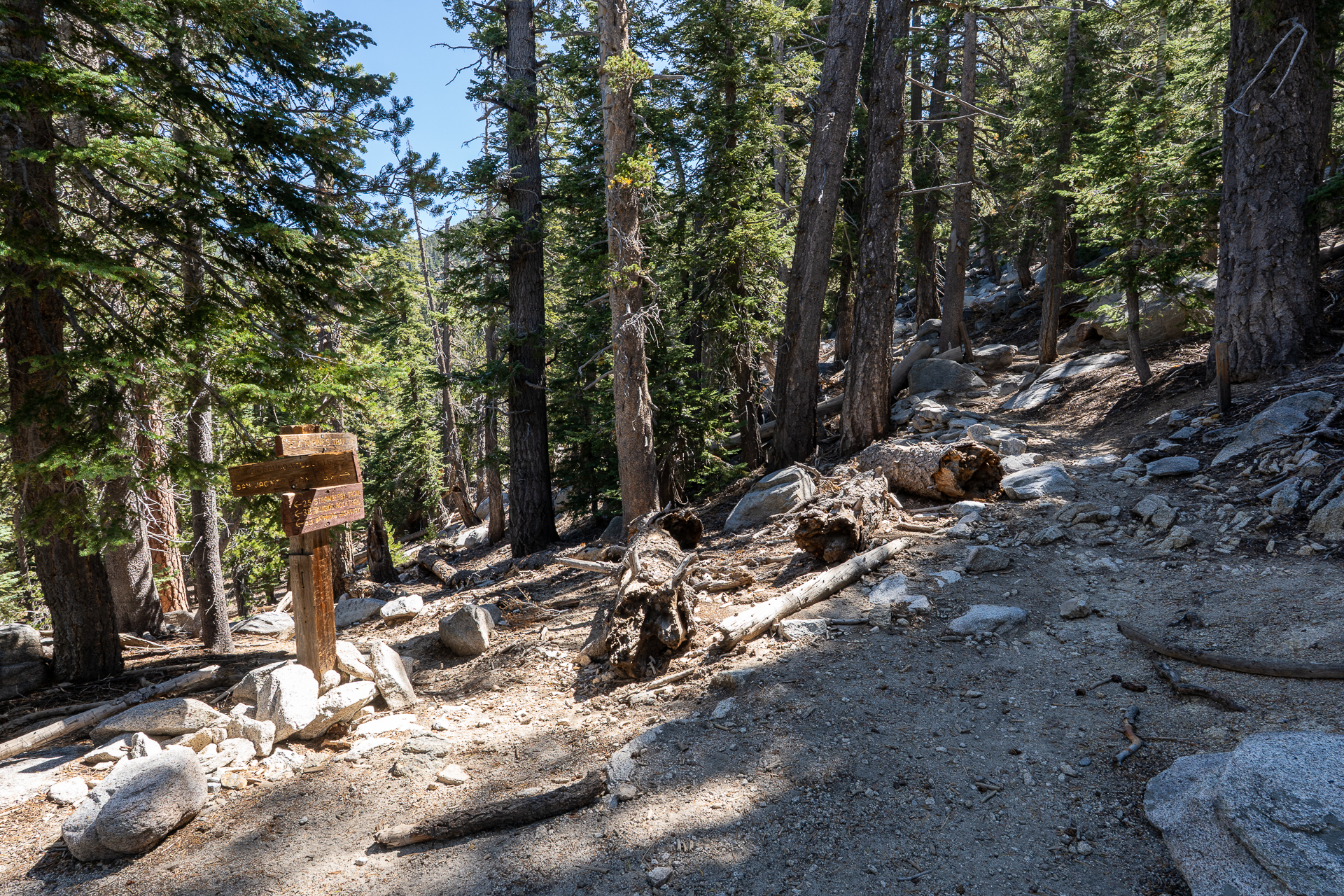 San Jacinto Mountains 10,000-foot Peaks Loop