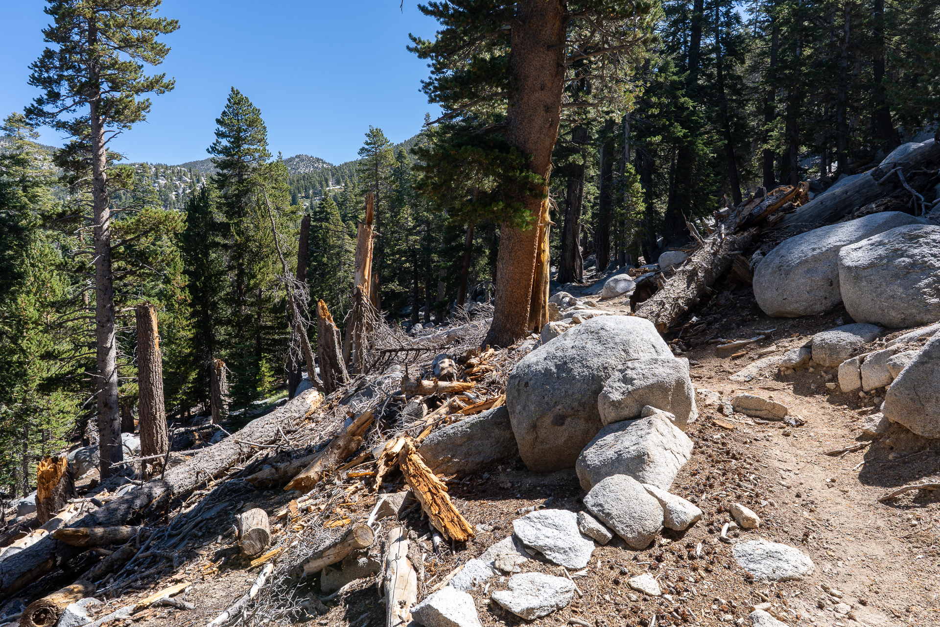 San Jacinto Mountains 10,000-foot Peaks Loop