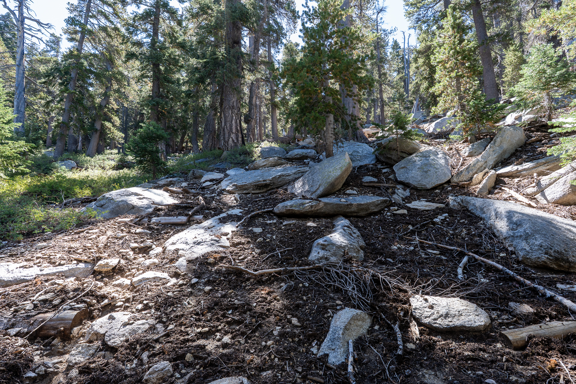 San Jacinto Mountains 10,000-foot Peaks Loop