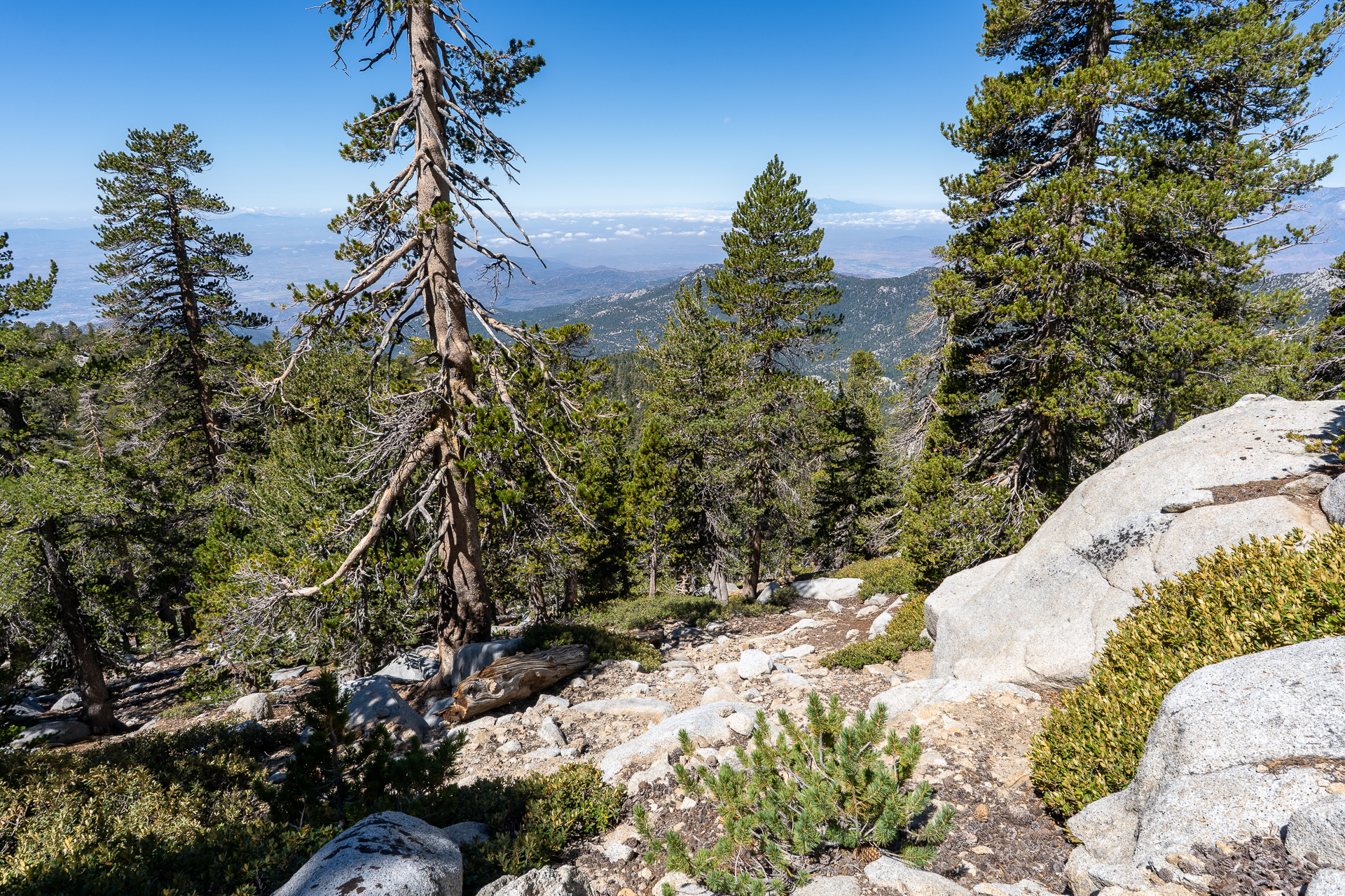 San Jacinto Mountains 10,000-foot Peaks Loop