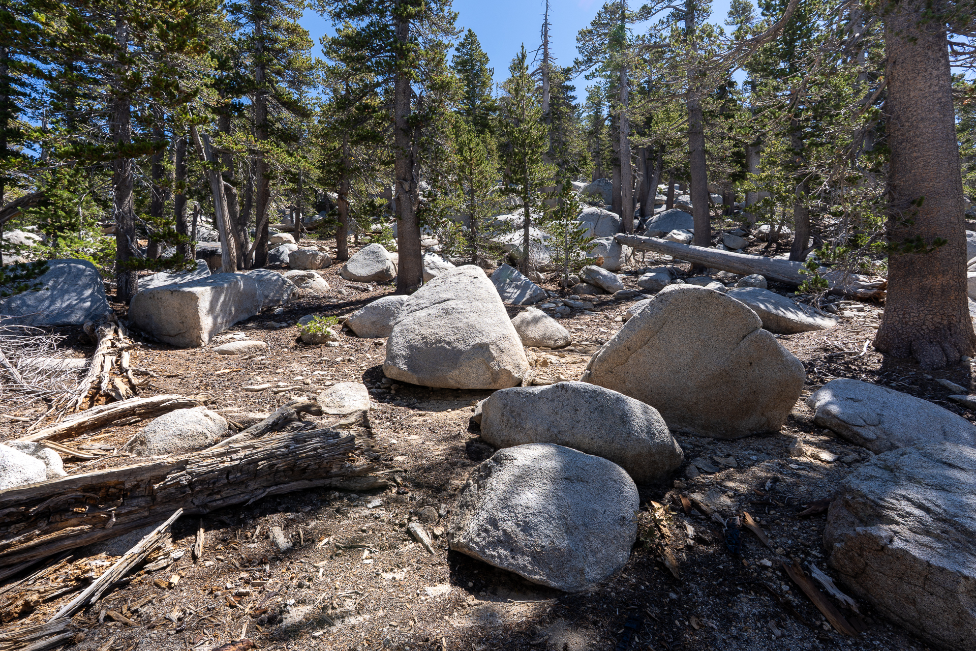 San Jacinto Mountains 10,000-foot Peaks Loop