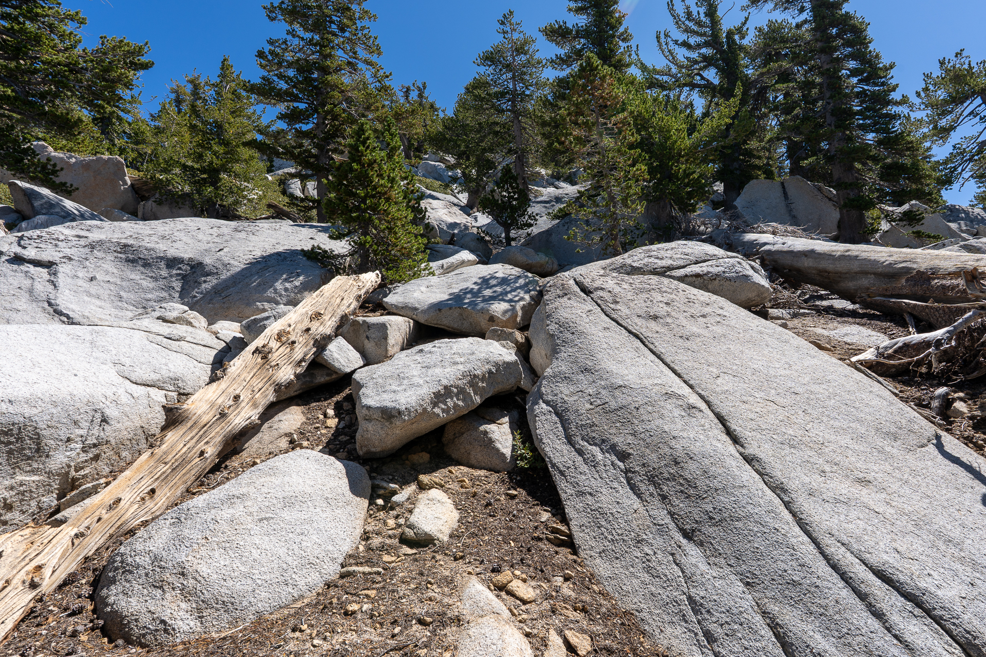 San Jacinto Mountains 10,000-foot Peaks Loop