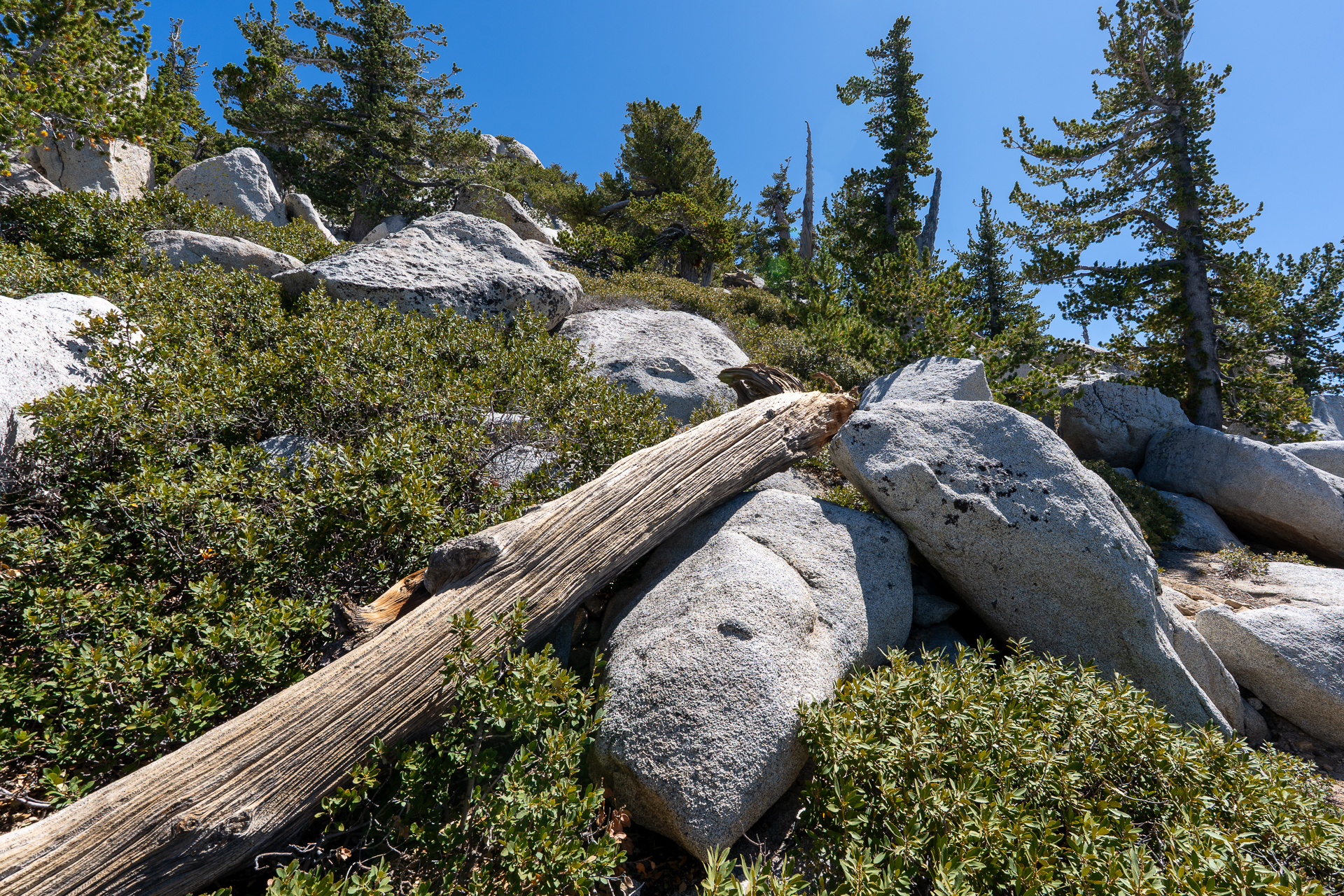 San Jacinto Mountains 10,000-foot Peaks Loop