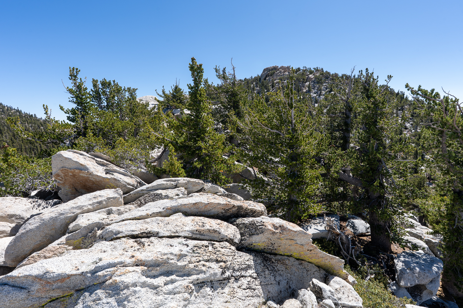 San Jacinto Mountains 10,000-foot Peaks Loop