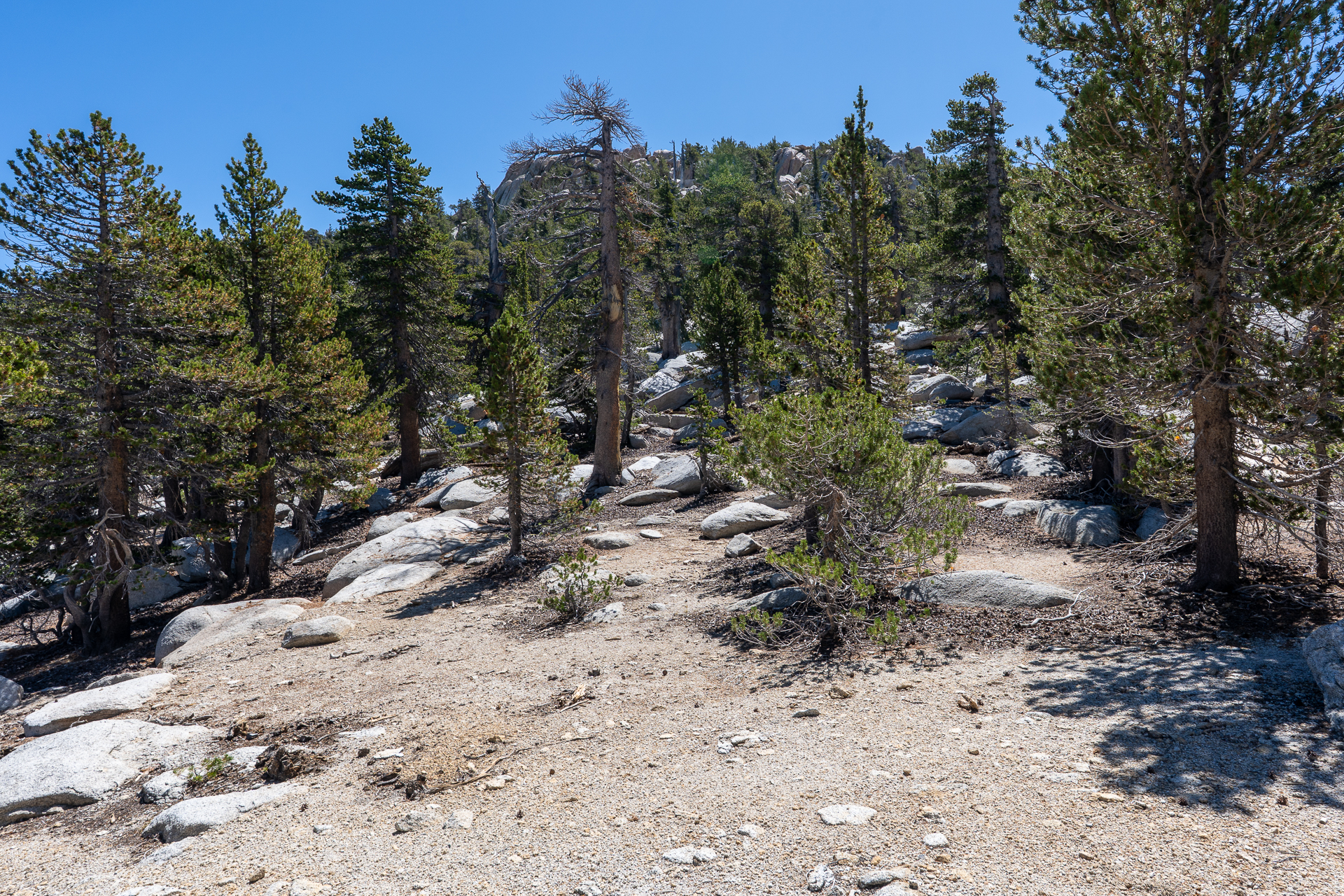 San Jacinto Mountains 10,000-foot Peaks Loop