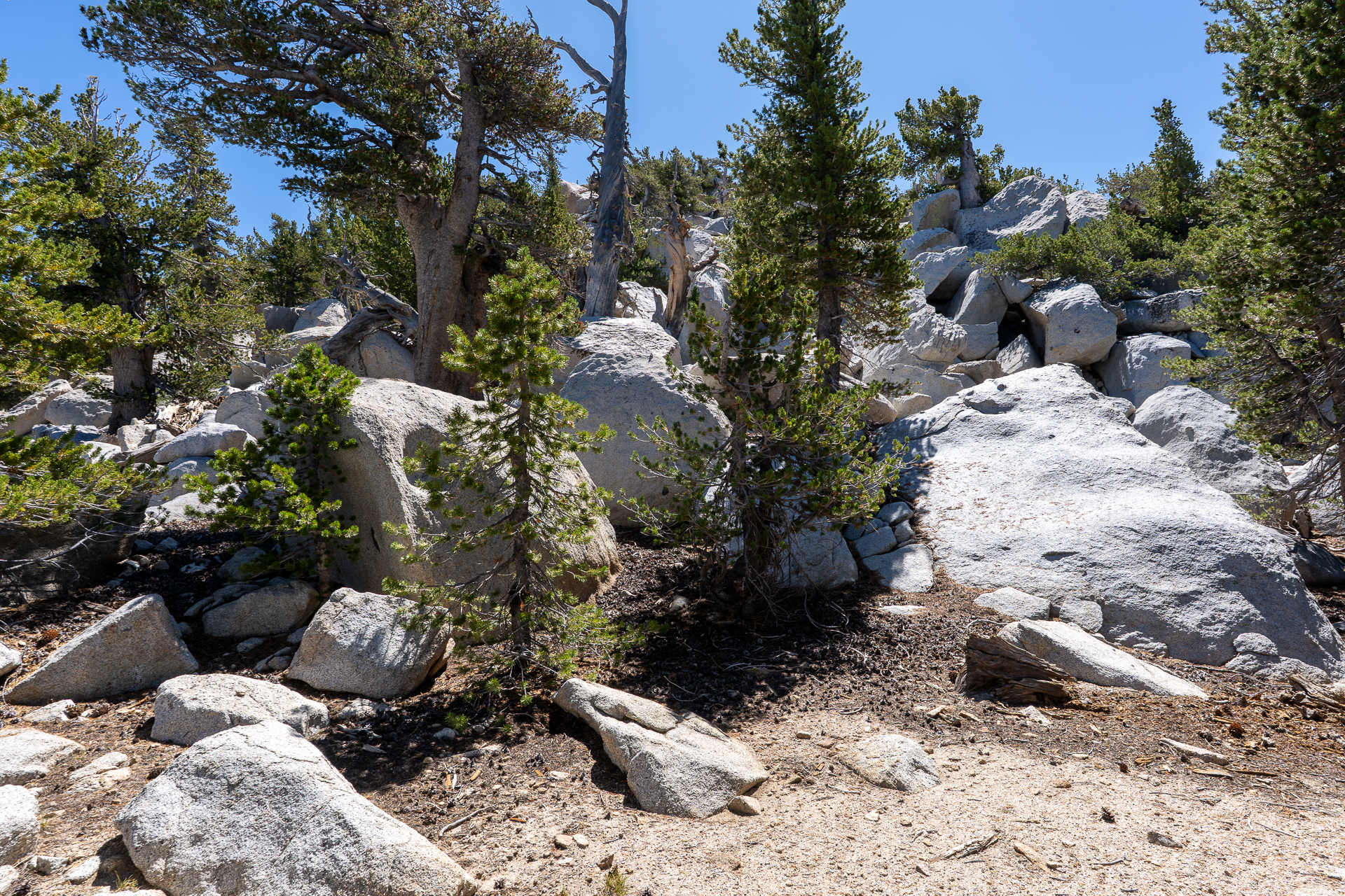 San Jacinto Mountains 10,000-foot Peaks Loop