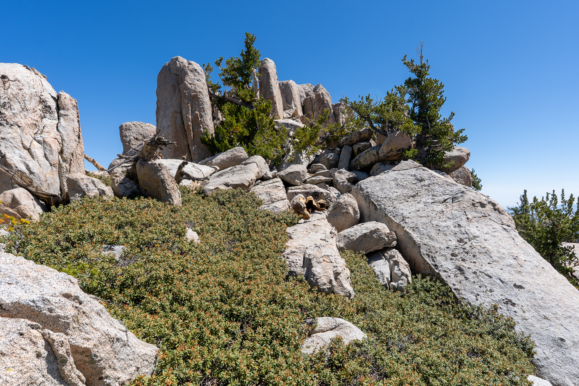 San Jacinto Mountains 10,000-foot Peaks Loop