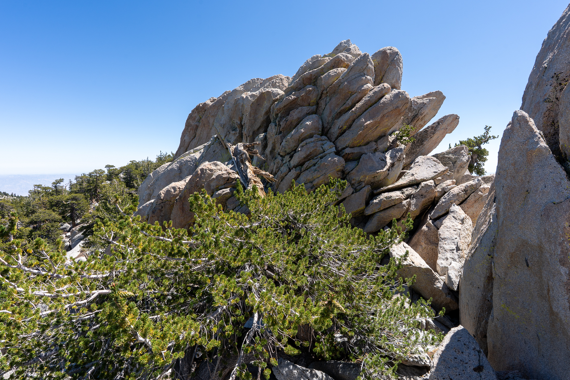 San Jacinto Mountains 10,000-foot Peaks Loop