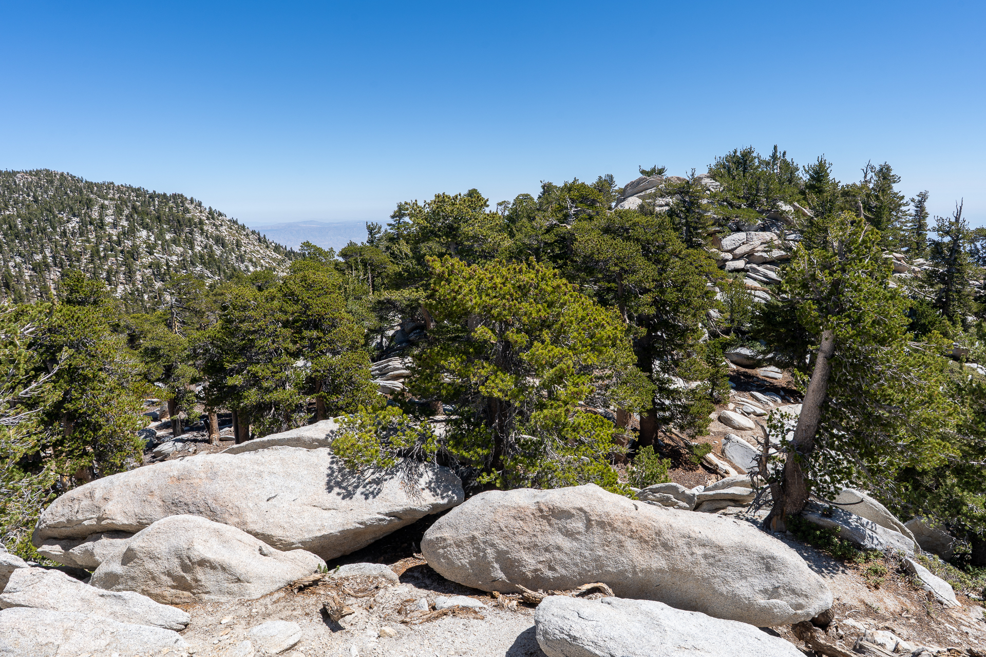 San Jacinto Mountains 10,000-foot Peaks Loop