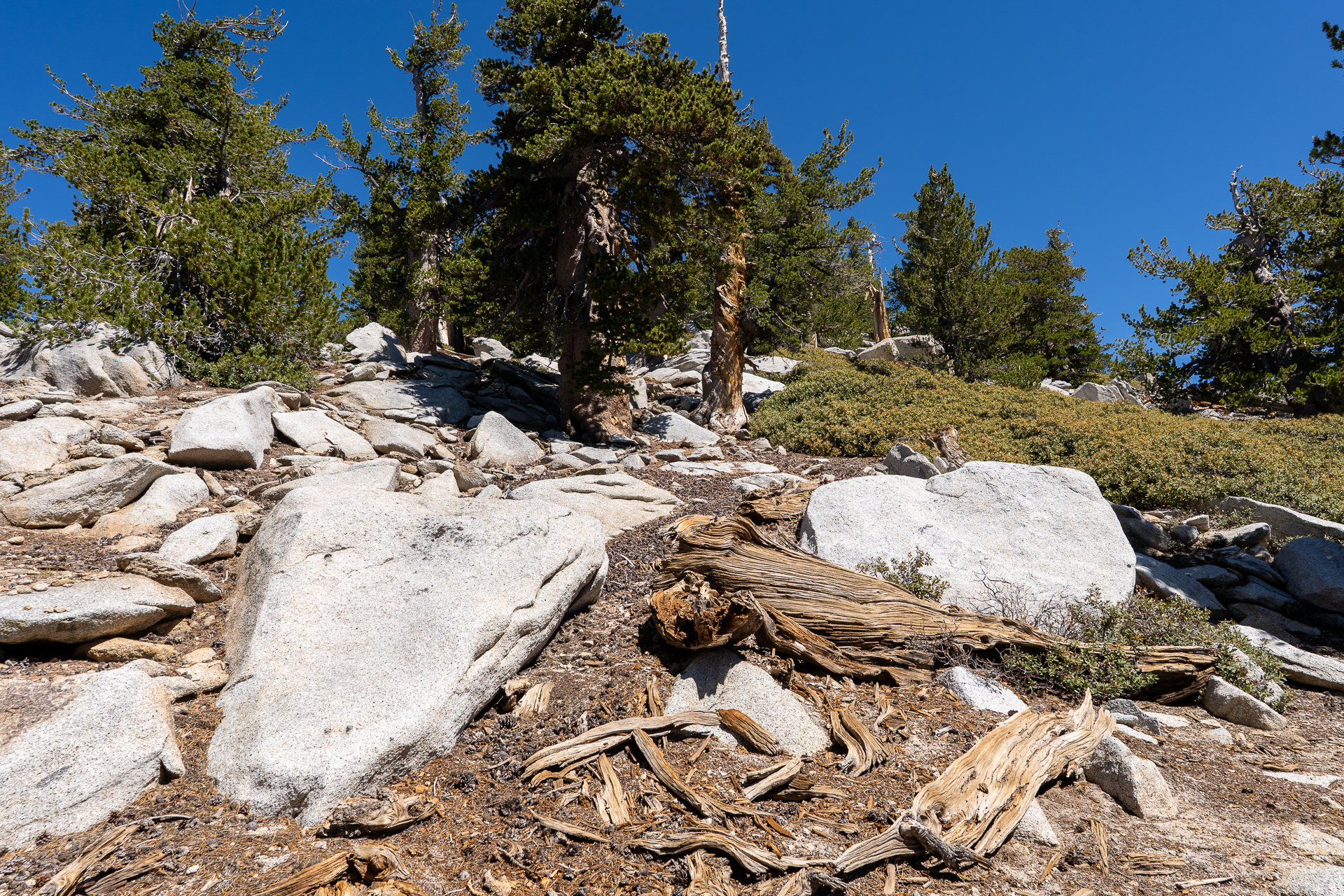 San Jacinto Mountains 10,000-foot Peaks Loop