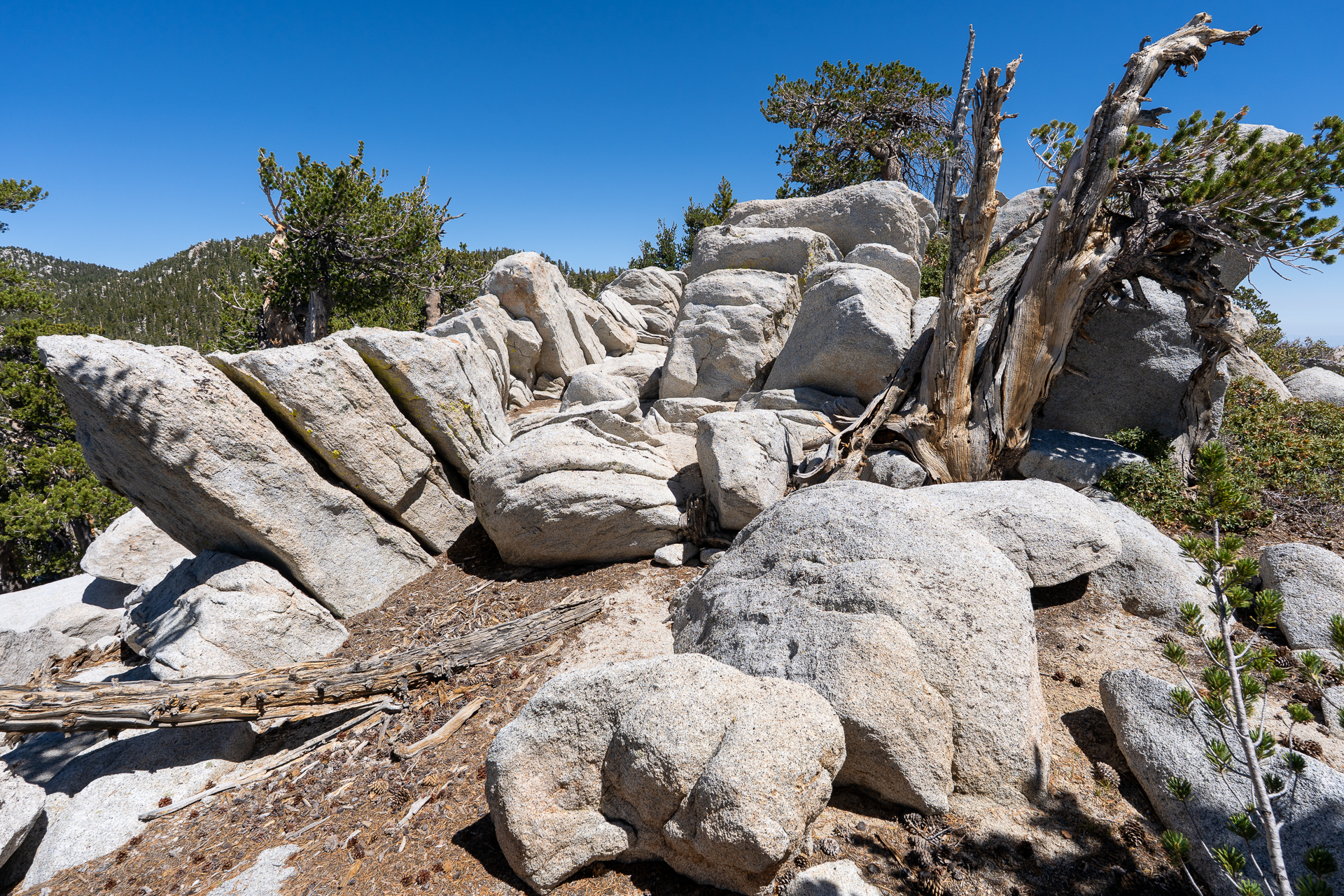 San Jacinto Mountains 10,000-foot Peaks Loop