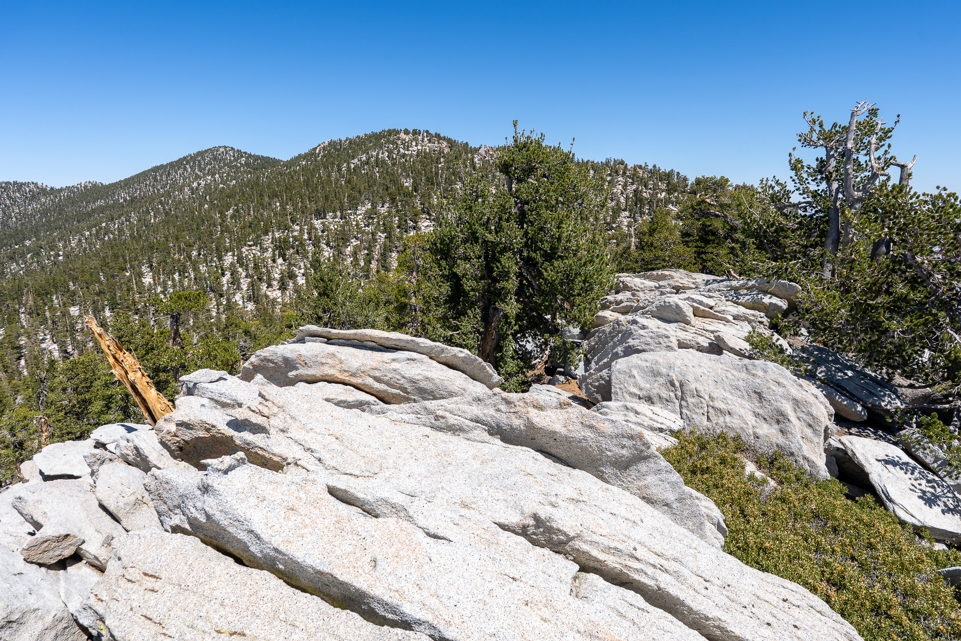 San Jacinto Mountains 10,000-foot Peaks Loop