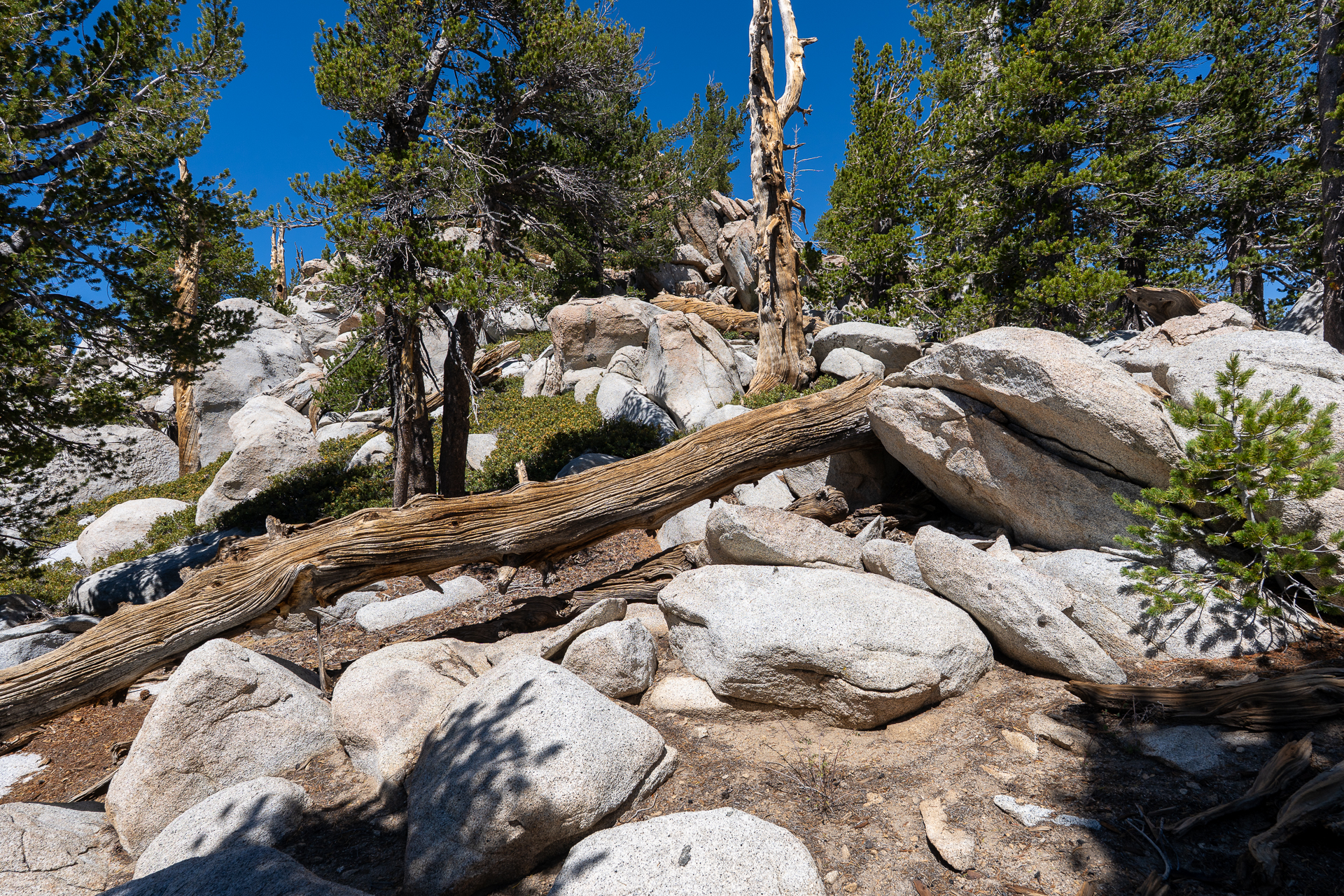 San Jacinto Mountains 10,000-foot Peaks Loop