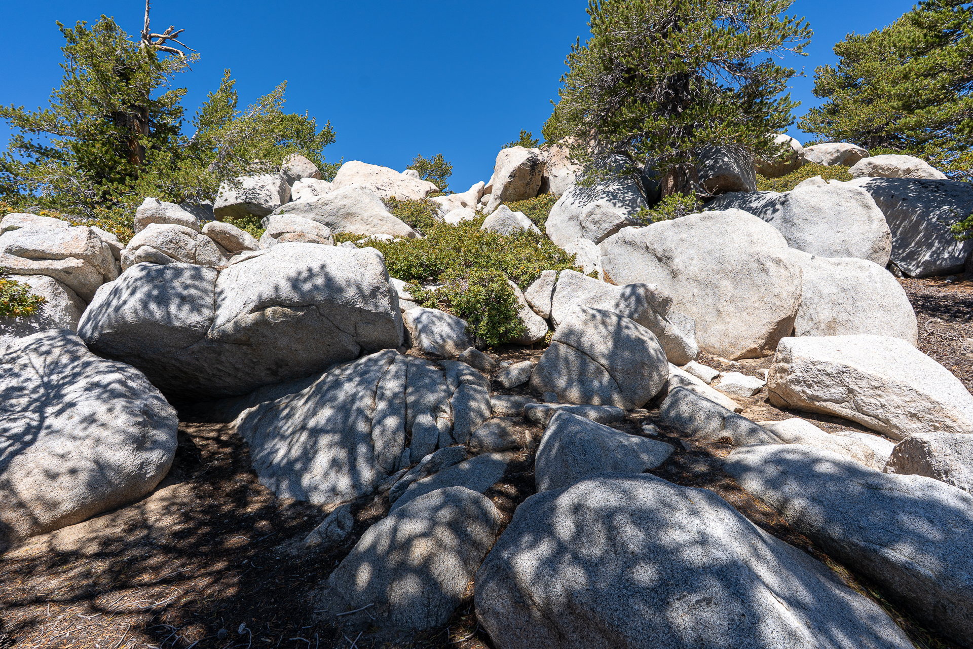 San Jacinto Mountains 10,000-foot Peaks Loop