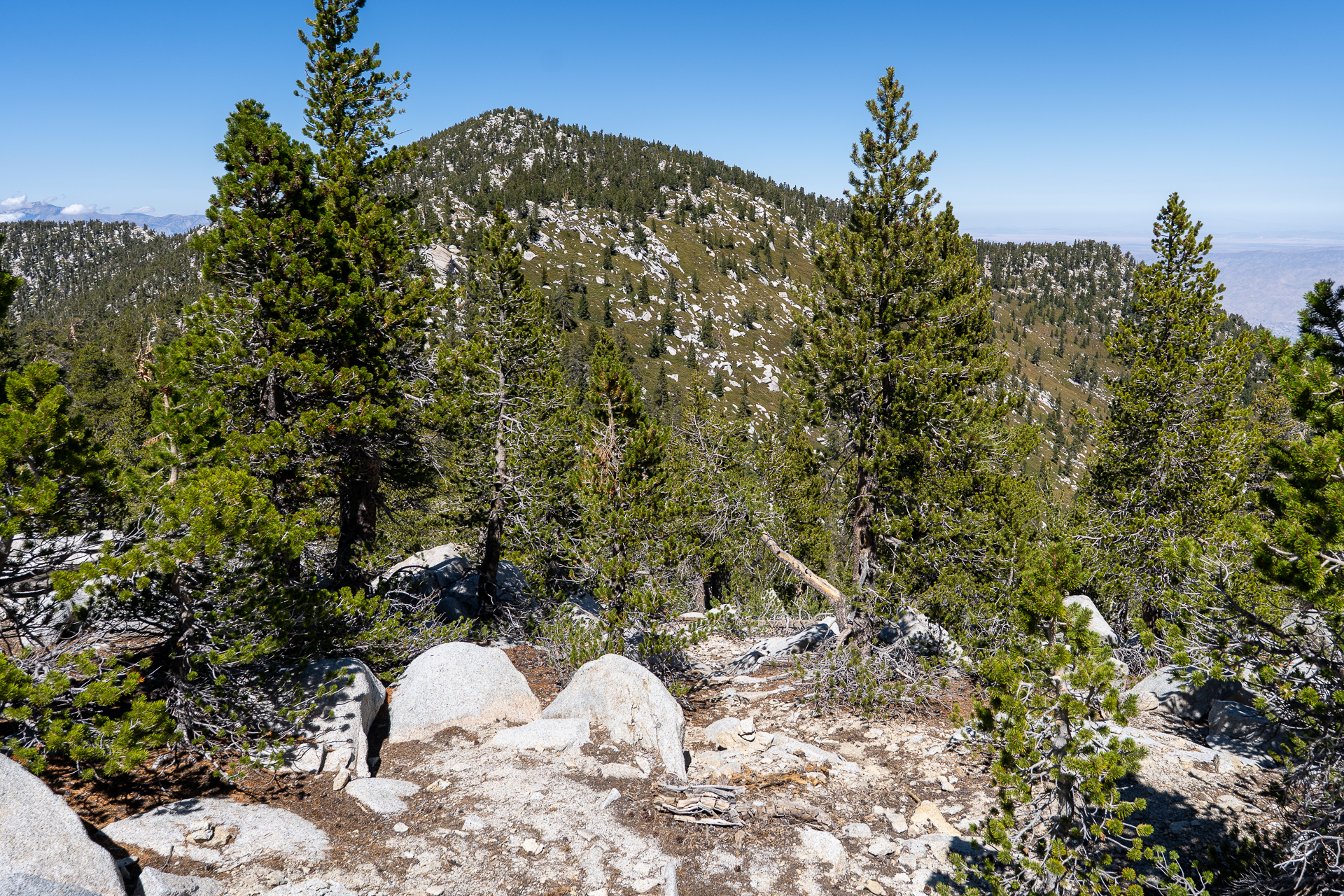 San Jacinto Mountains 10,000-foot Peaks Loop