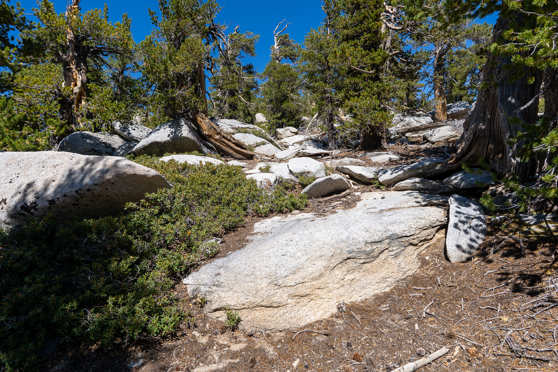 San Jacinto Mountains 10,000-foot Peaks Loop