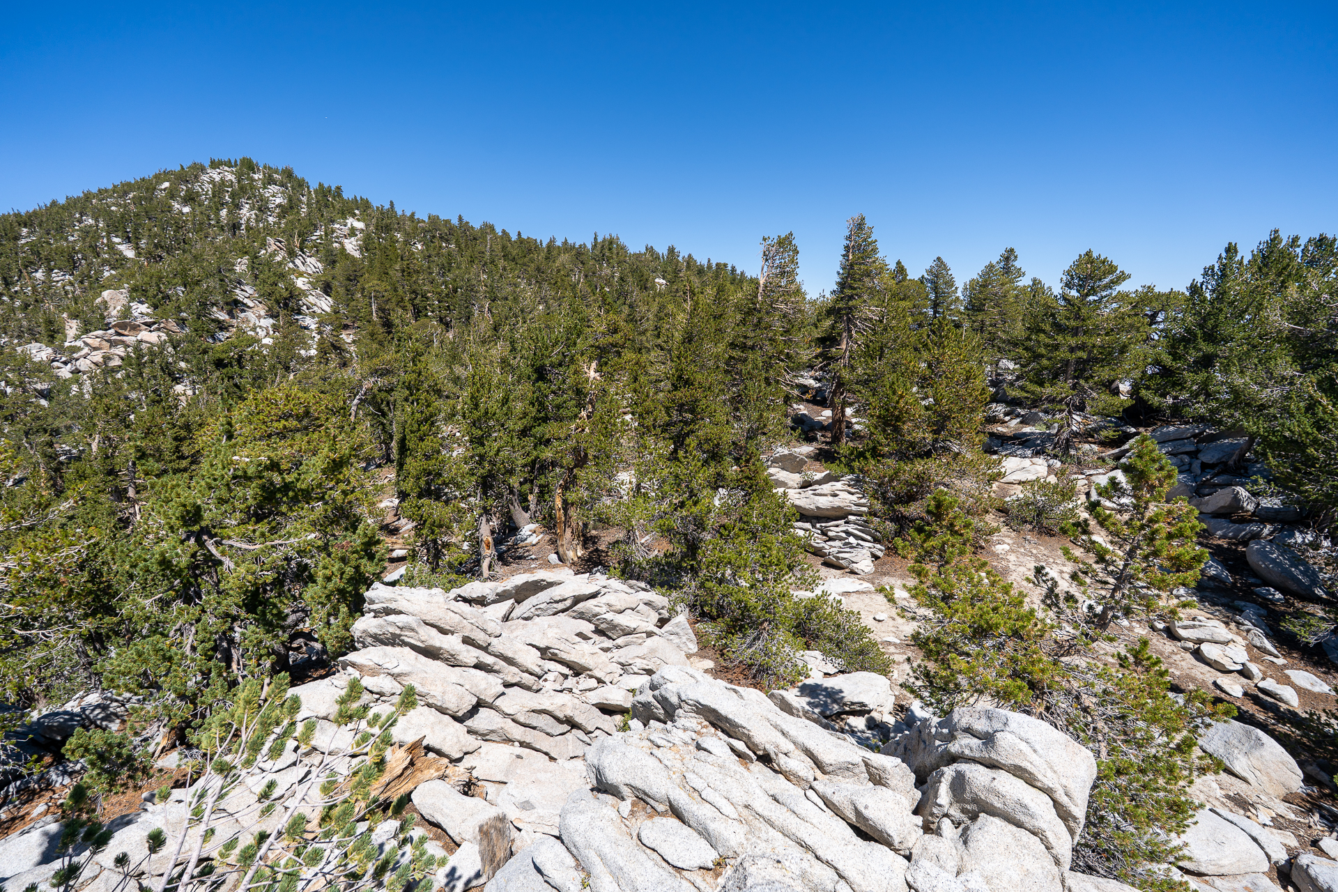 San Jacinto Mountains 10,000-foot Peaks Loop