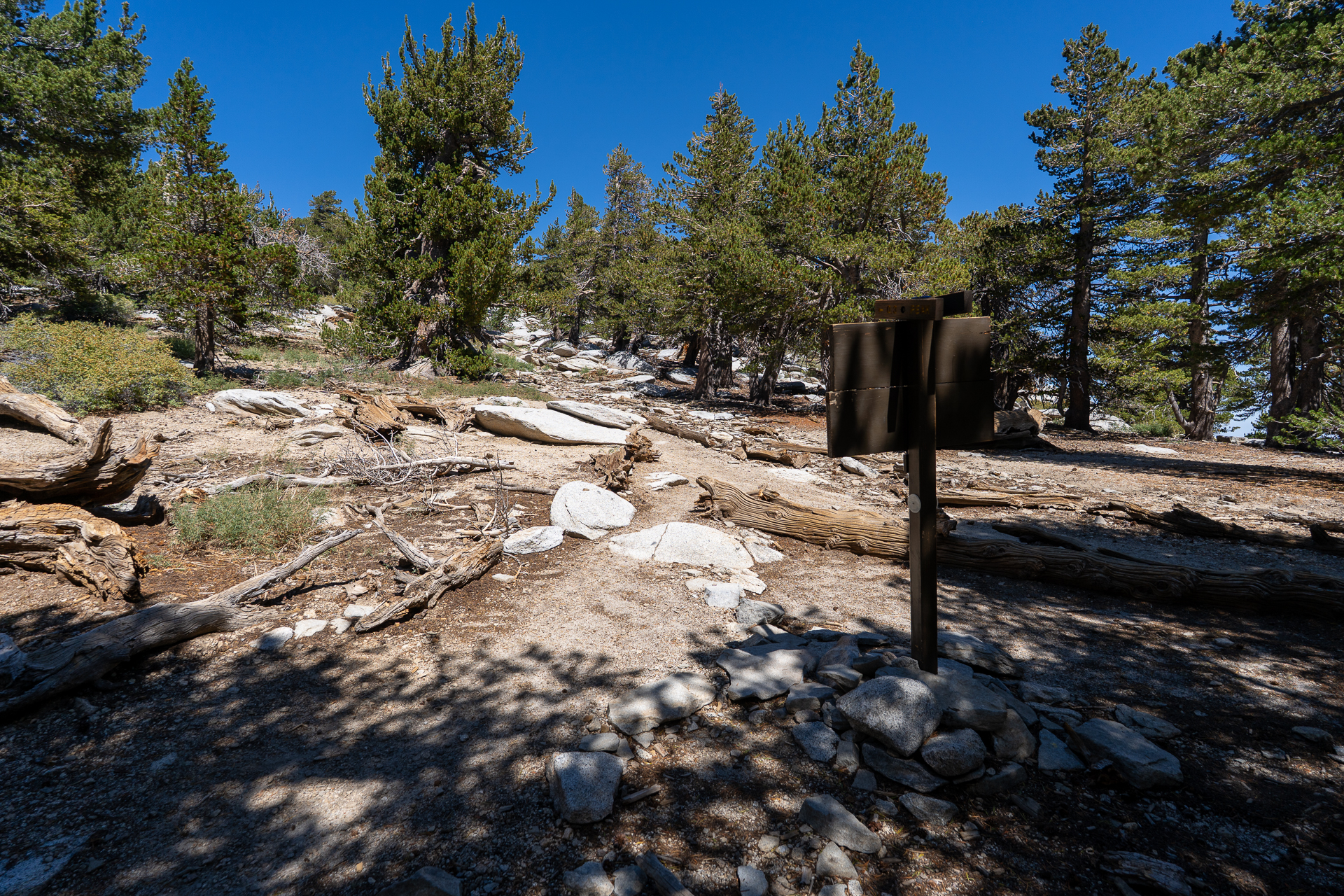San Jacinto Mountains 10,000-foot Peaks Loop